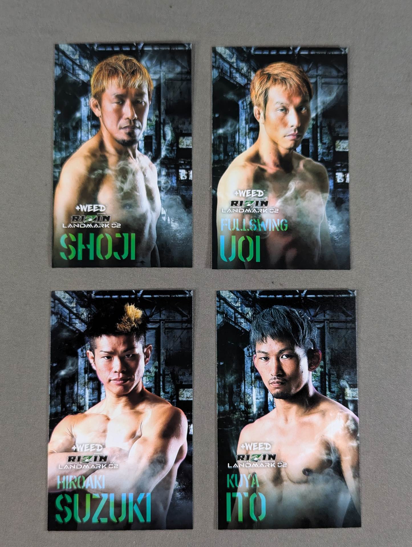 RIZIN LANDMARK vol.2 Business Card Set