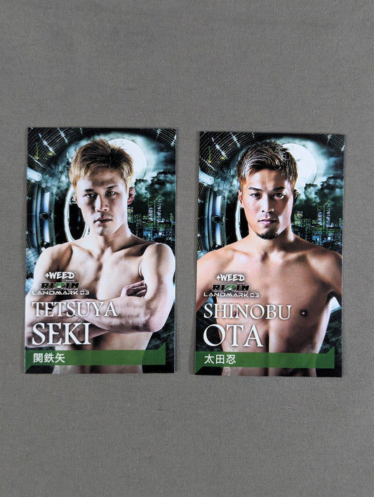 RIZIN LANDMARK vol.3 名刺カードセット