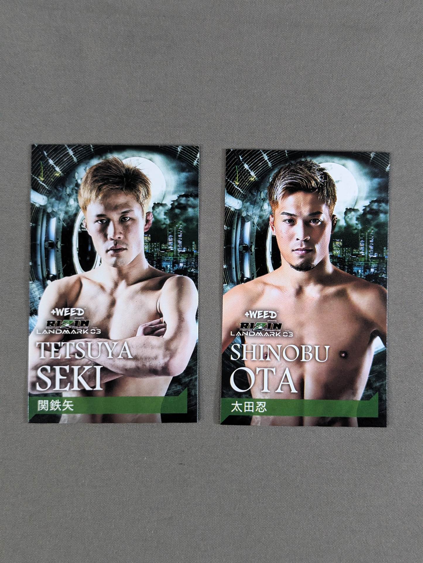 RIZIN LANDMARK vol.3 Business Card Set