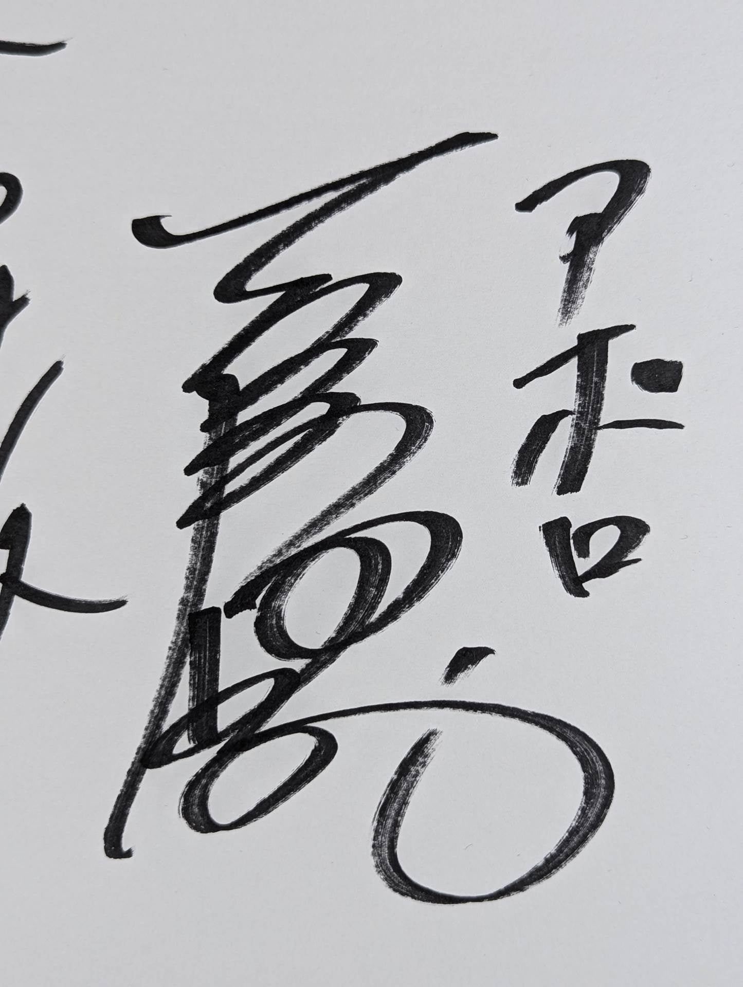 ★マイティ井上・追悼メモリアル写真集付★ 高杉正彦&アポロ菅原