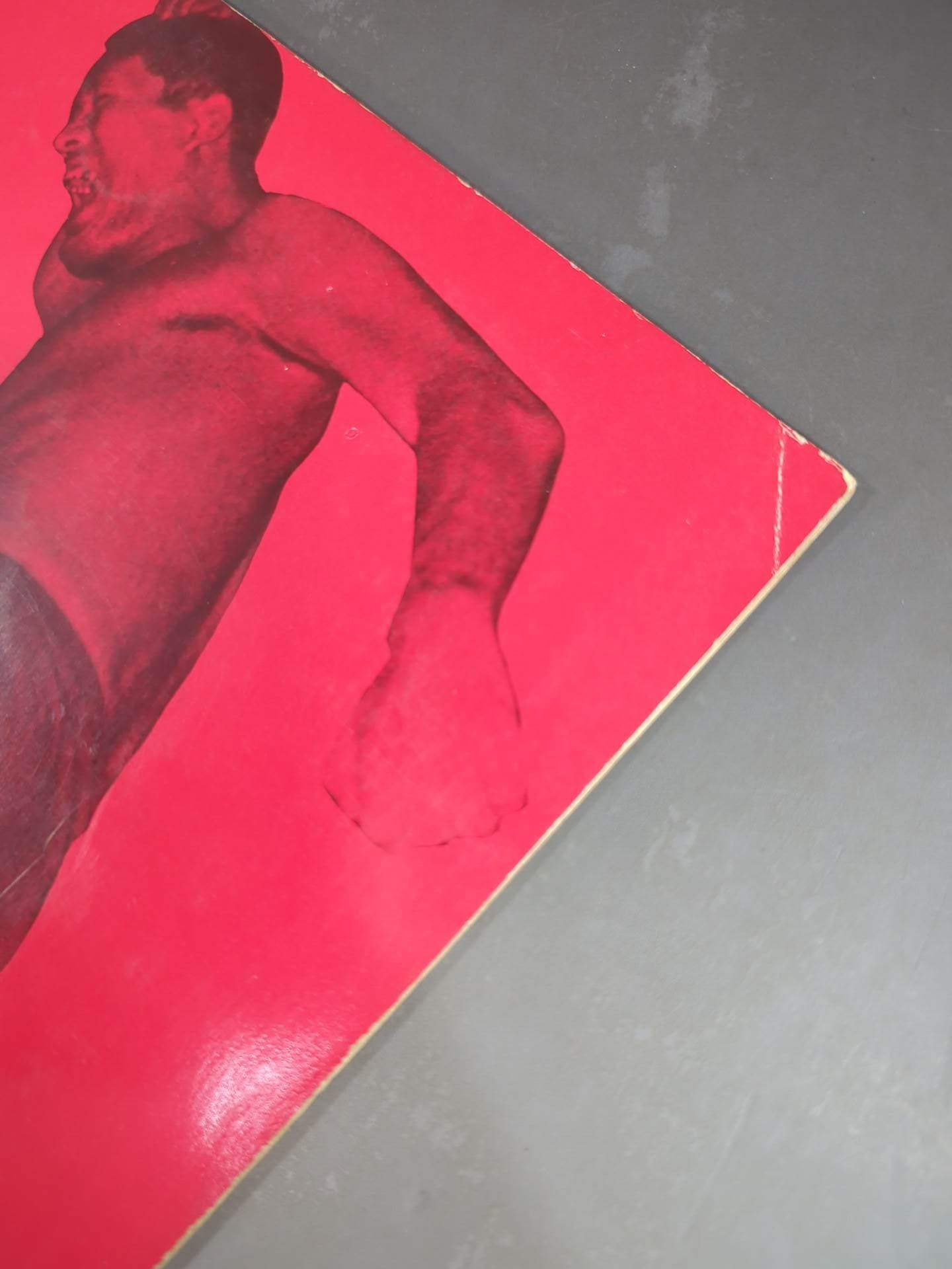 72第8回ゴールデンシリーズ戦