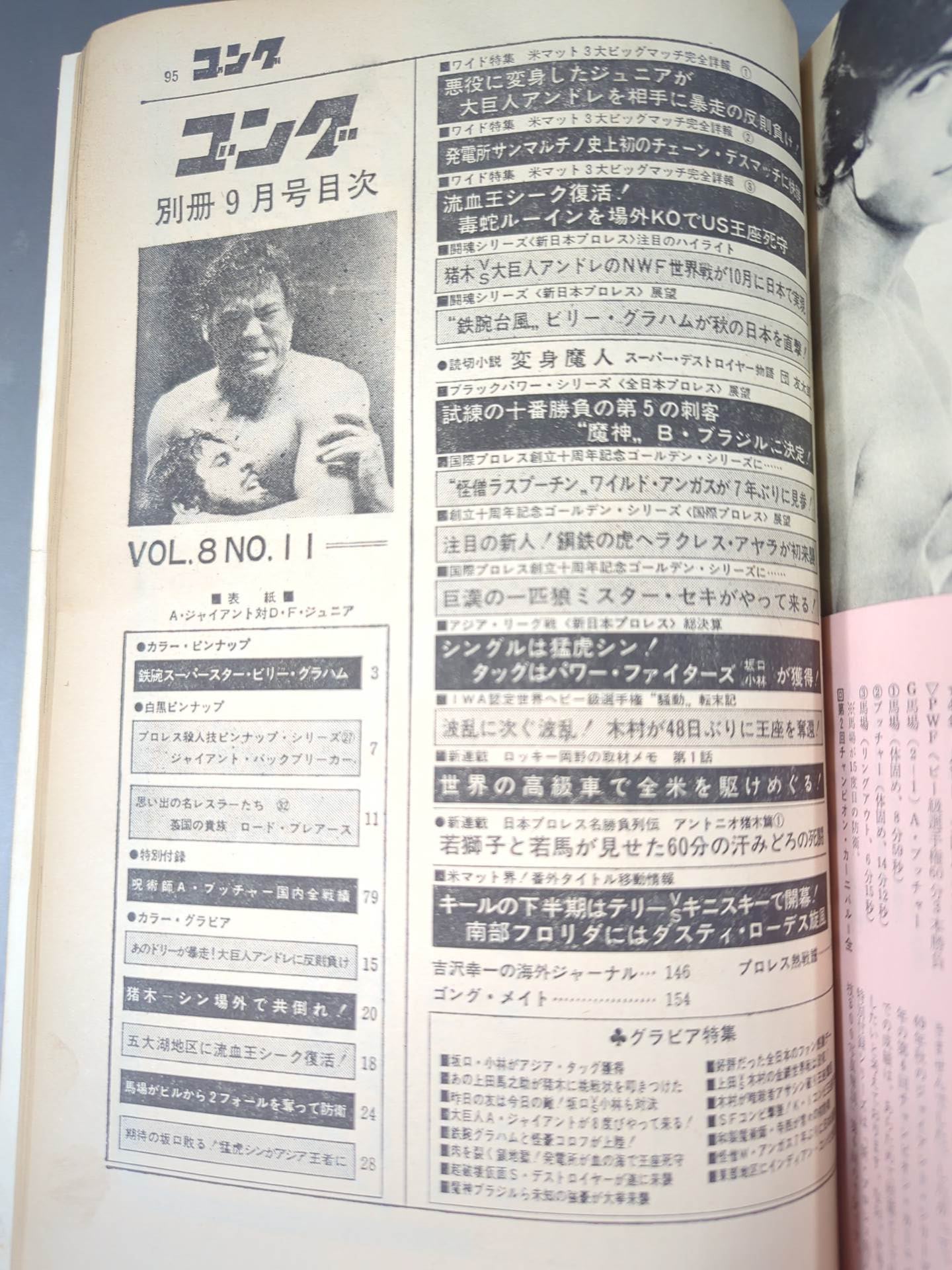 Bessatsu Gong Vol.8 No.11