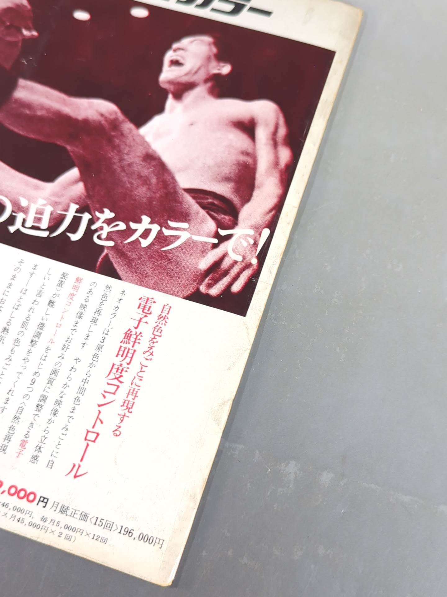 68第10回ワールド大リーグ戦 / Wリーグ戦制定10周年