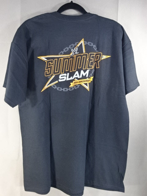★SUMMER SLAM 2012★トリプルHvブロック・レスナー Tシャツ