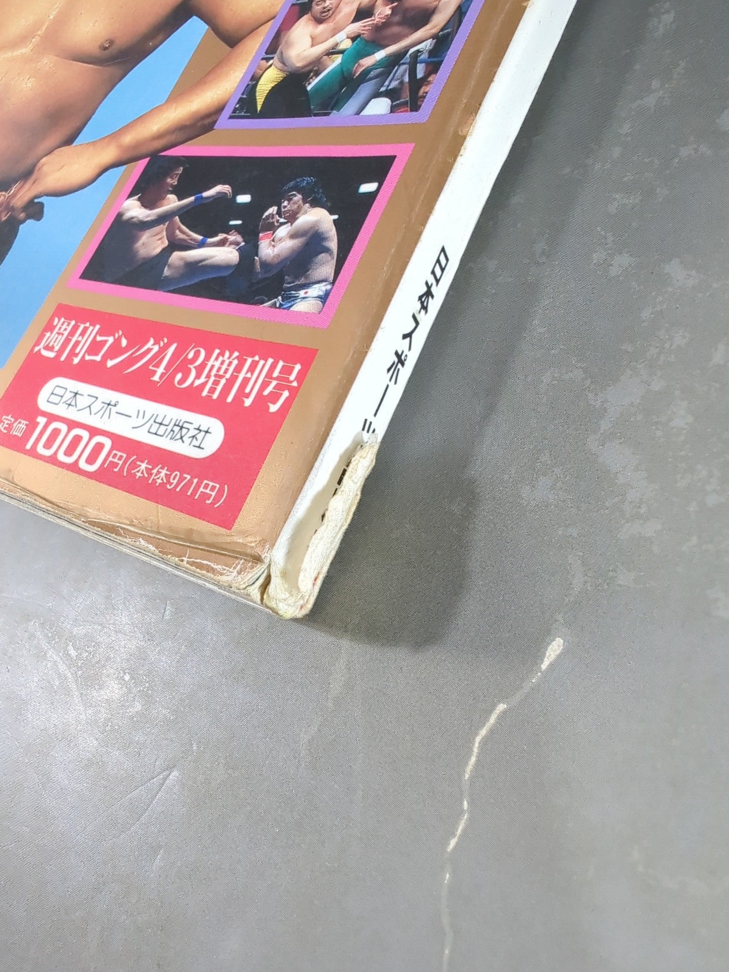 Gong Special Issue Japan Pro Wrestling  40 Years History ~27th Anniversary Publication~