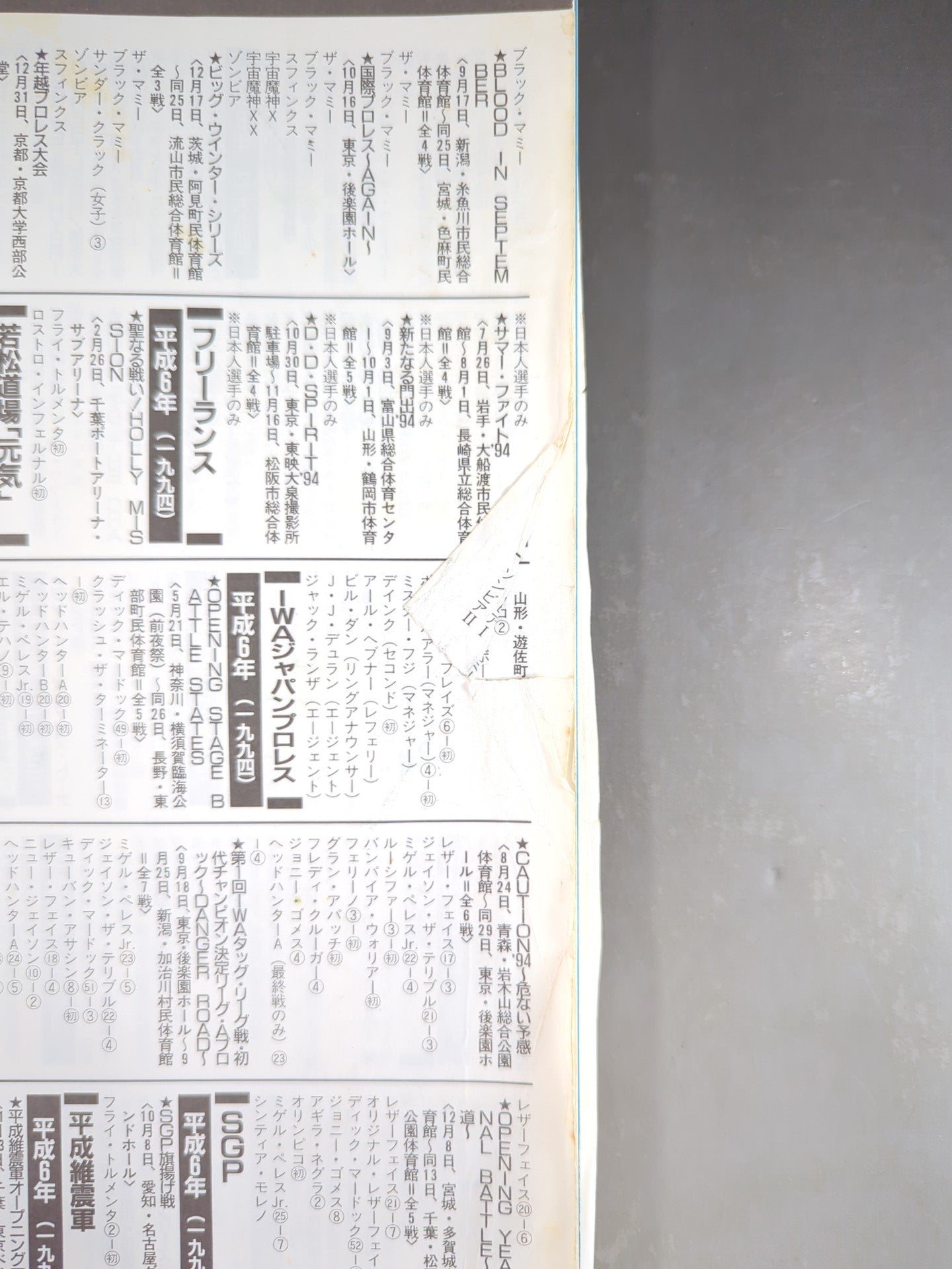 Gong Special Issue Japan Pro Wrestling  40 Years History ~27th Anniversary Publication~
