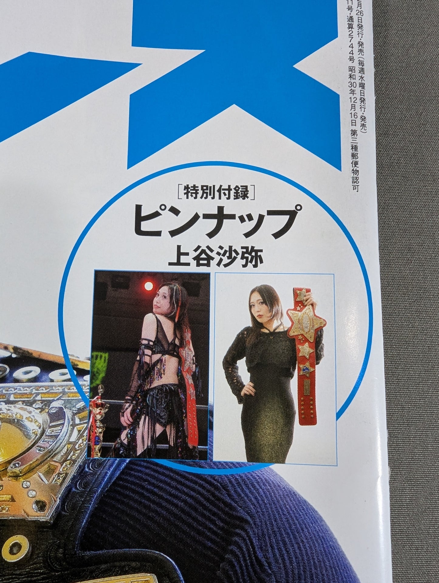 Weekly Pro Wrestling 2344