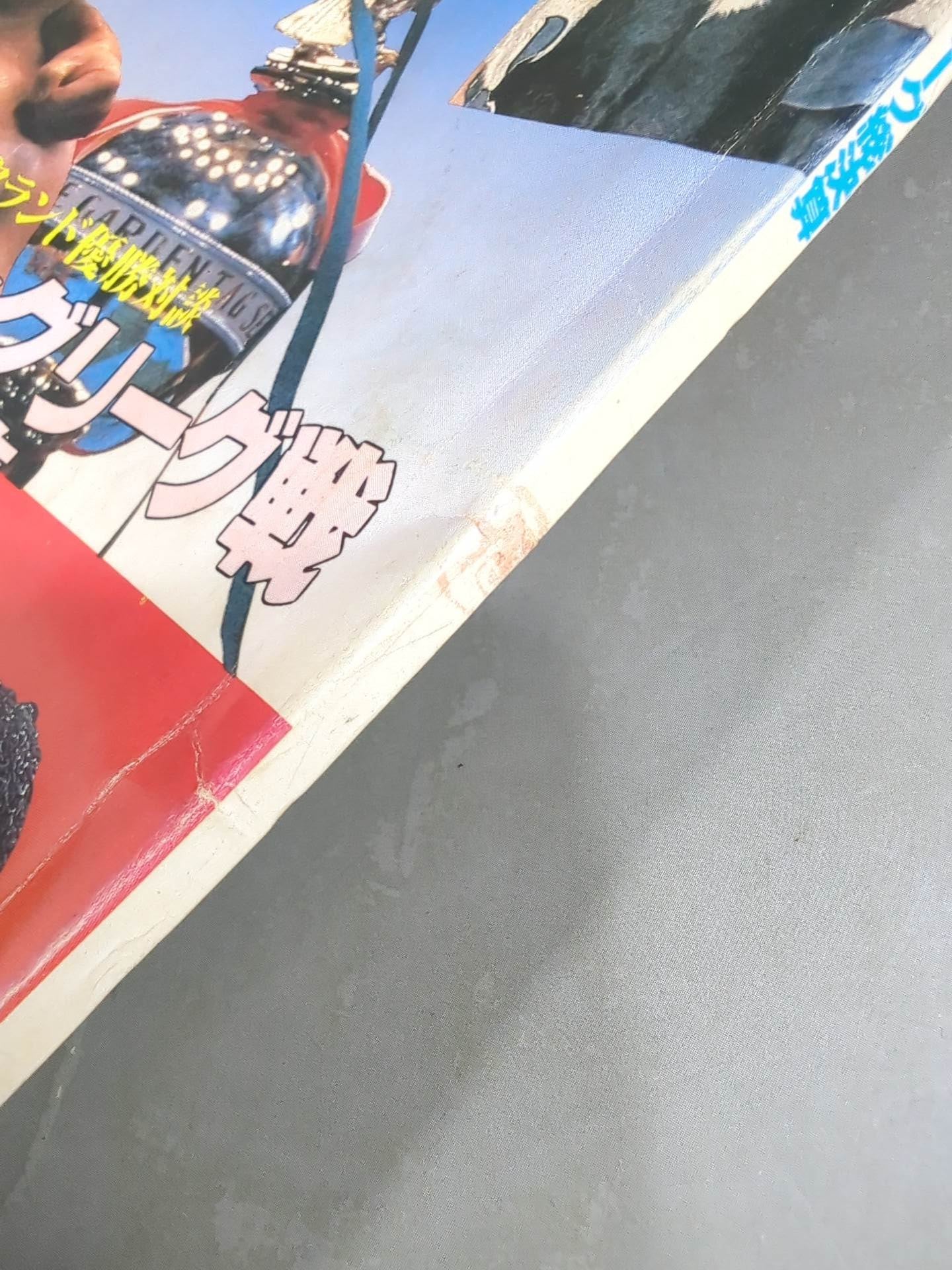 Deluxe Pro Wrestling February 1981