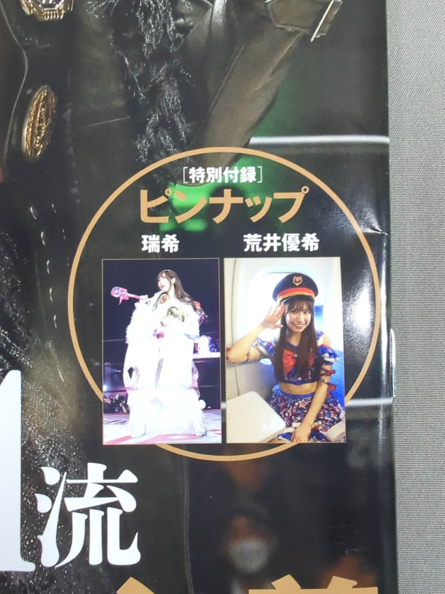 Weekly Pro Wrestling 2348