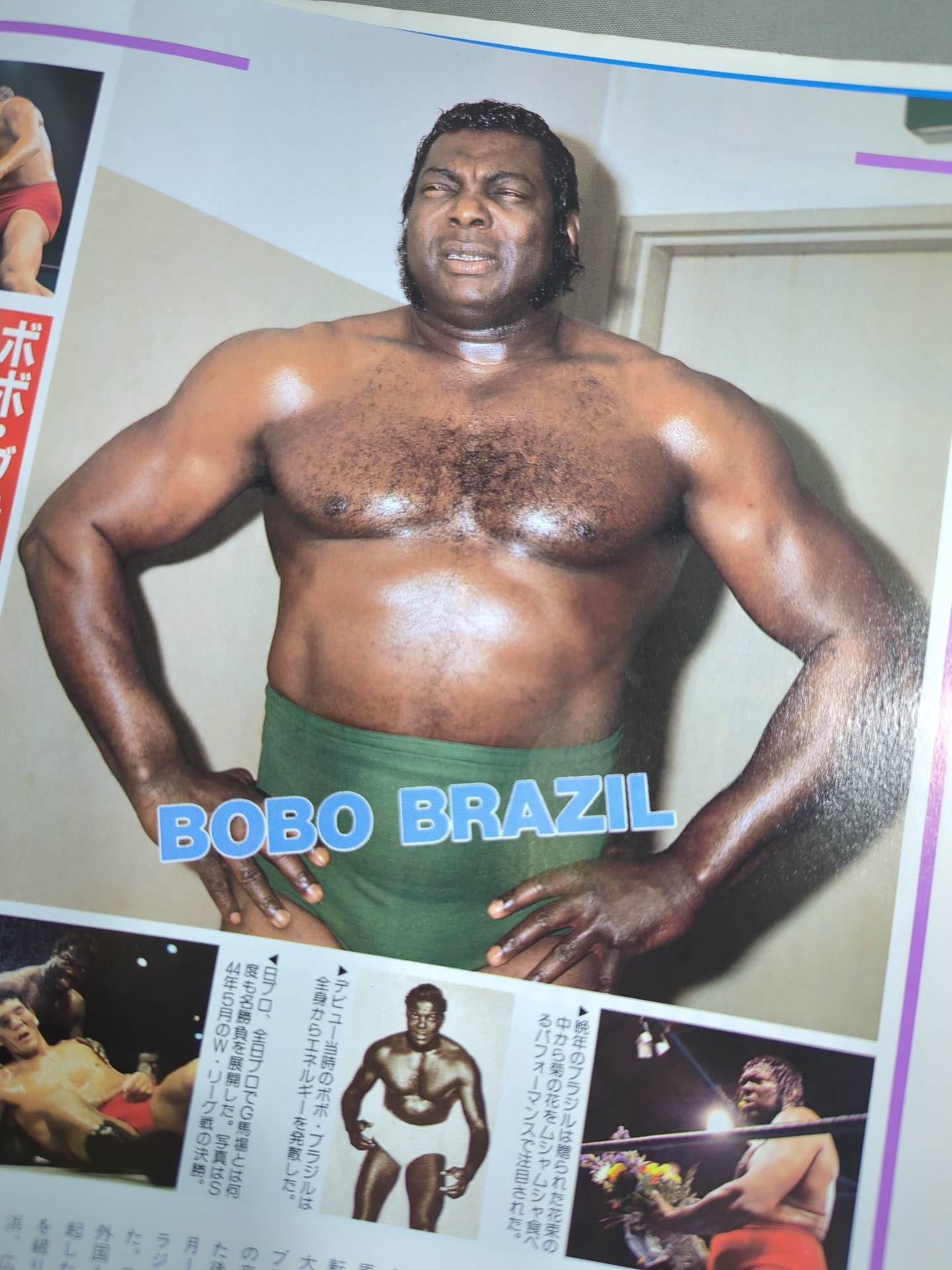 ゴング増刊号 THE WRESTLER BEST 1000 ★世界レスラー1000人名鑑★