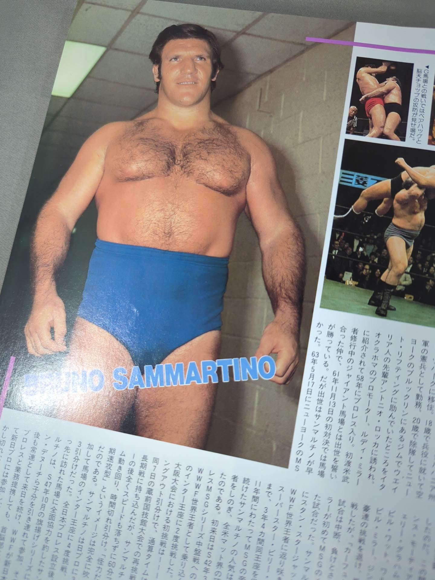 ゴング増刊号 THE WRESTLER BEST 1000 ★世界レスラー1000人名鑑★
