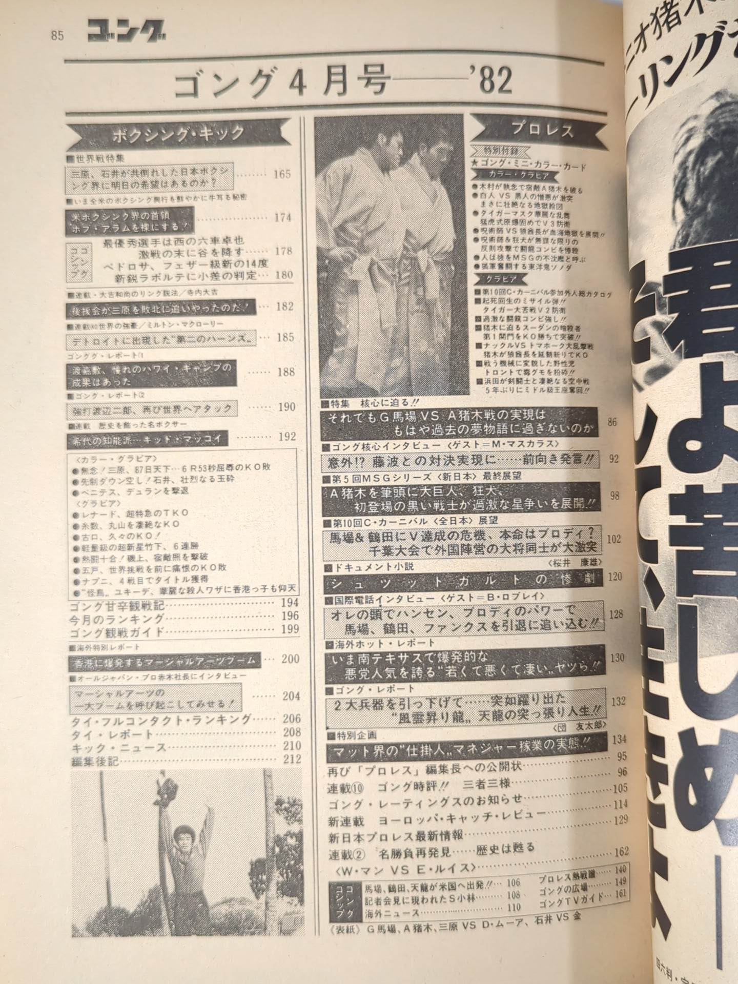月刊ゴングVol.15 No.4