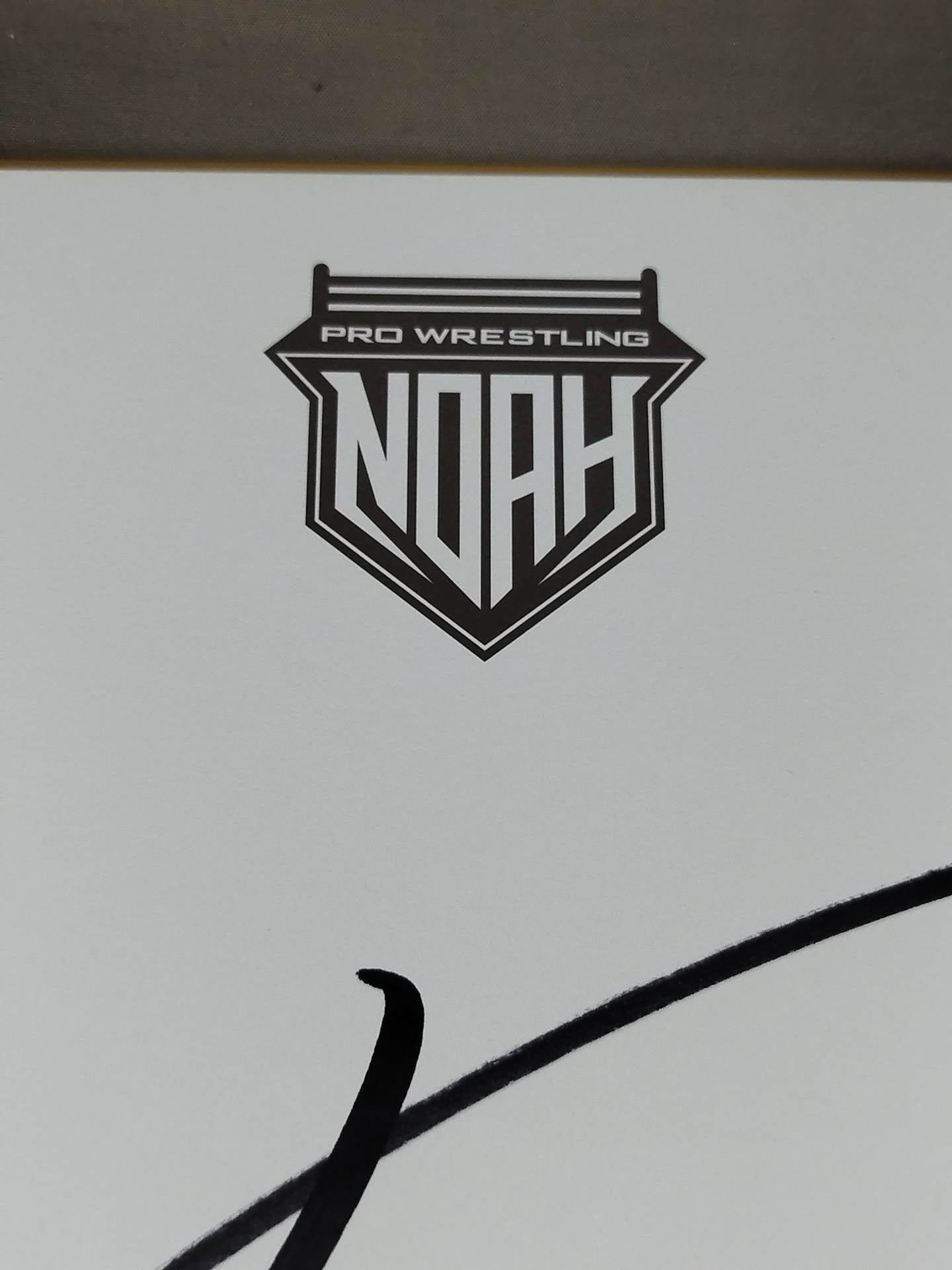 Go Shiozaki (NOAH限定Shikishi ( Autograph board ) )