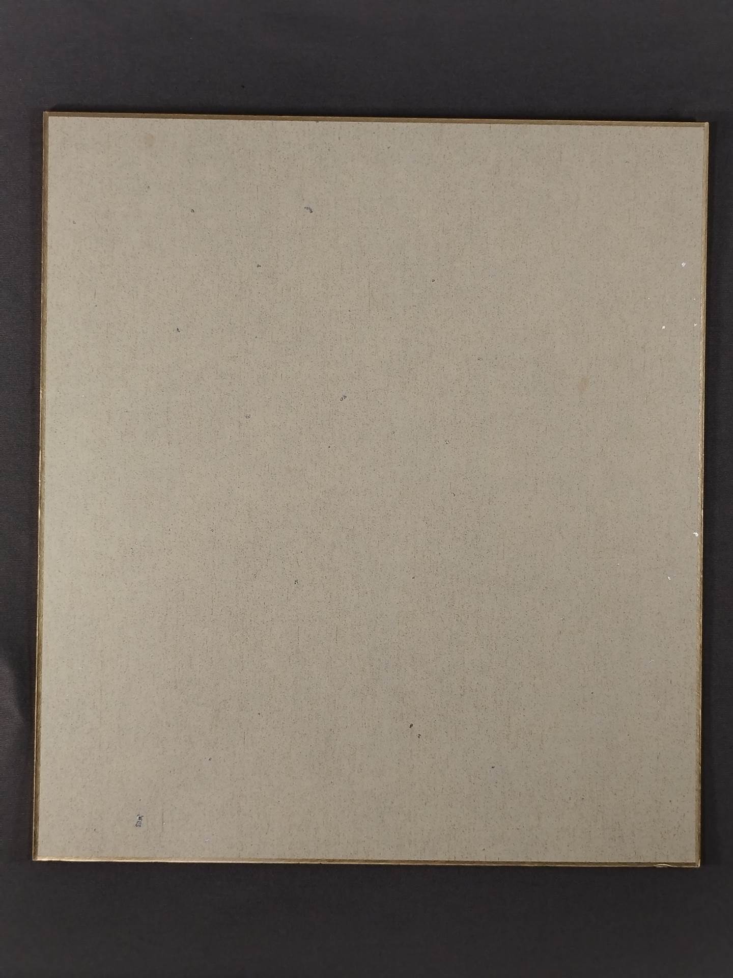 Koji Kanemoto (Lion Mark ) Shikishi ( Autograph board ) )