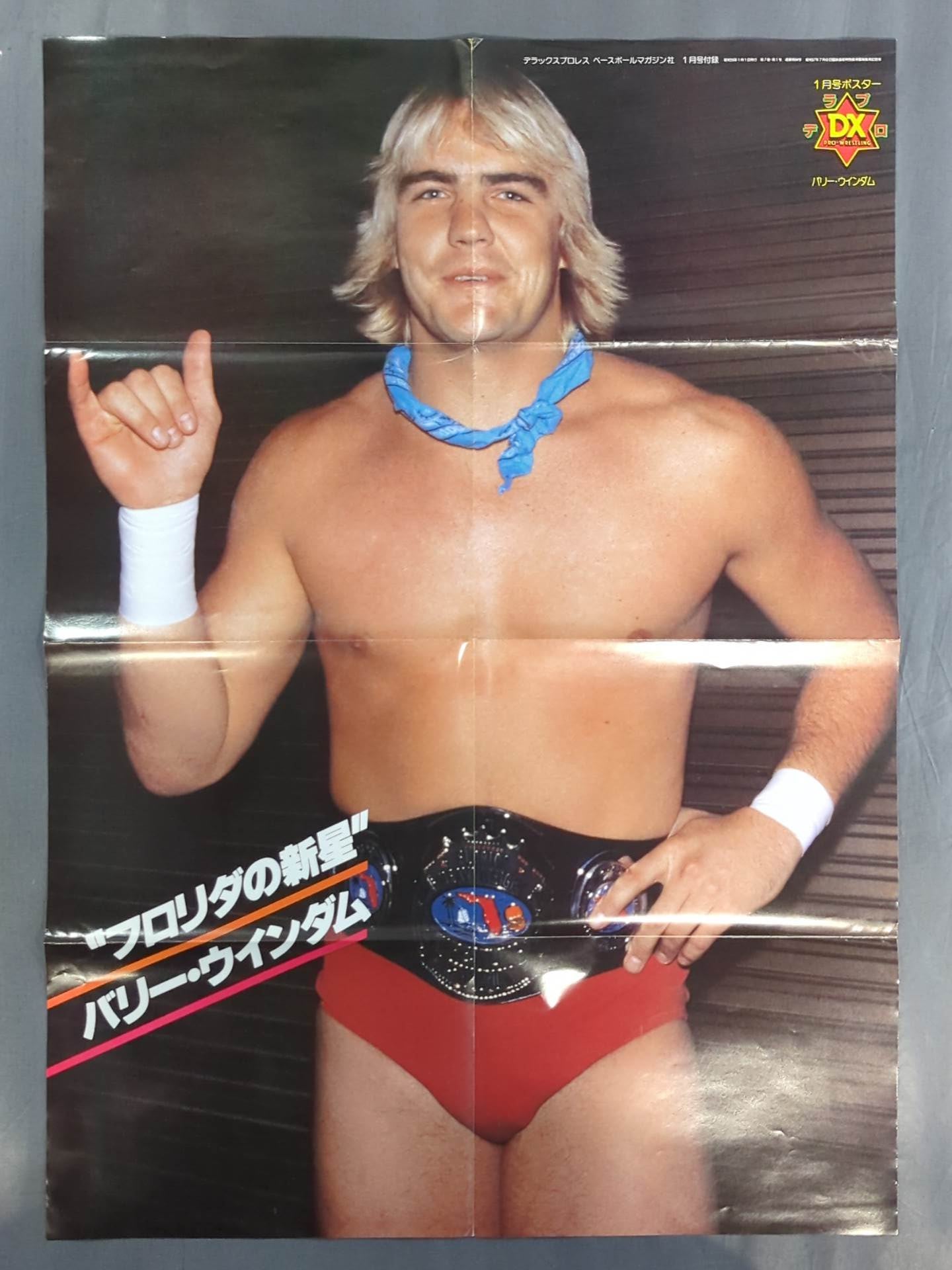 Barry Windham Magazine Appendix Poster