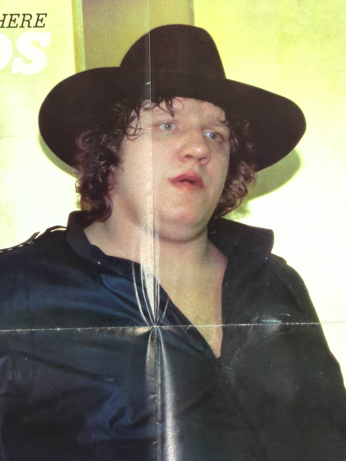 ファビュラス・フリーバーズ 雑誌付録ポスター