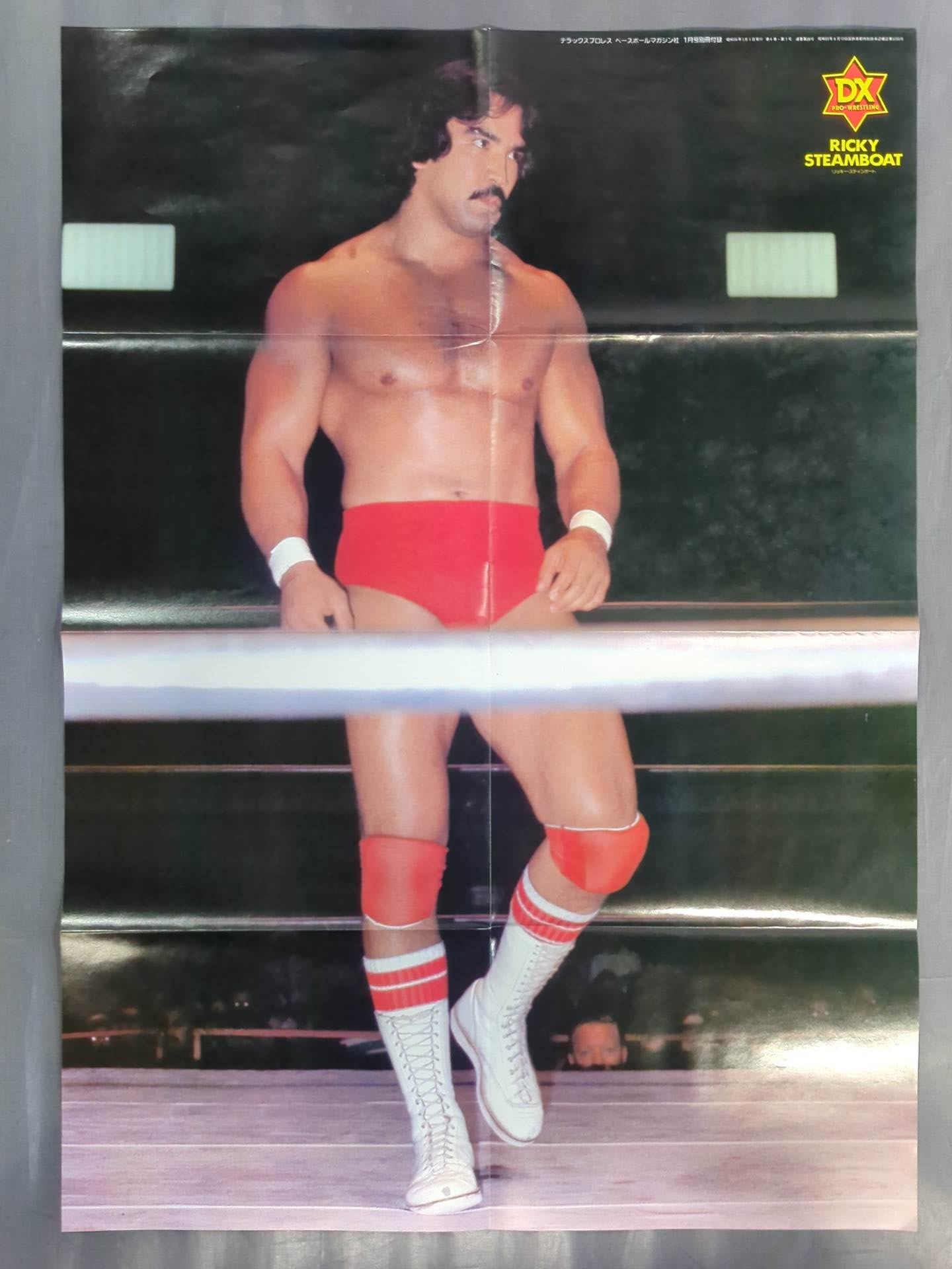 Amazon.co.jp: WWE リッキー・スティムボート ザ・ドラゴン [DVD