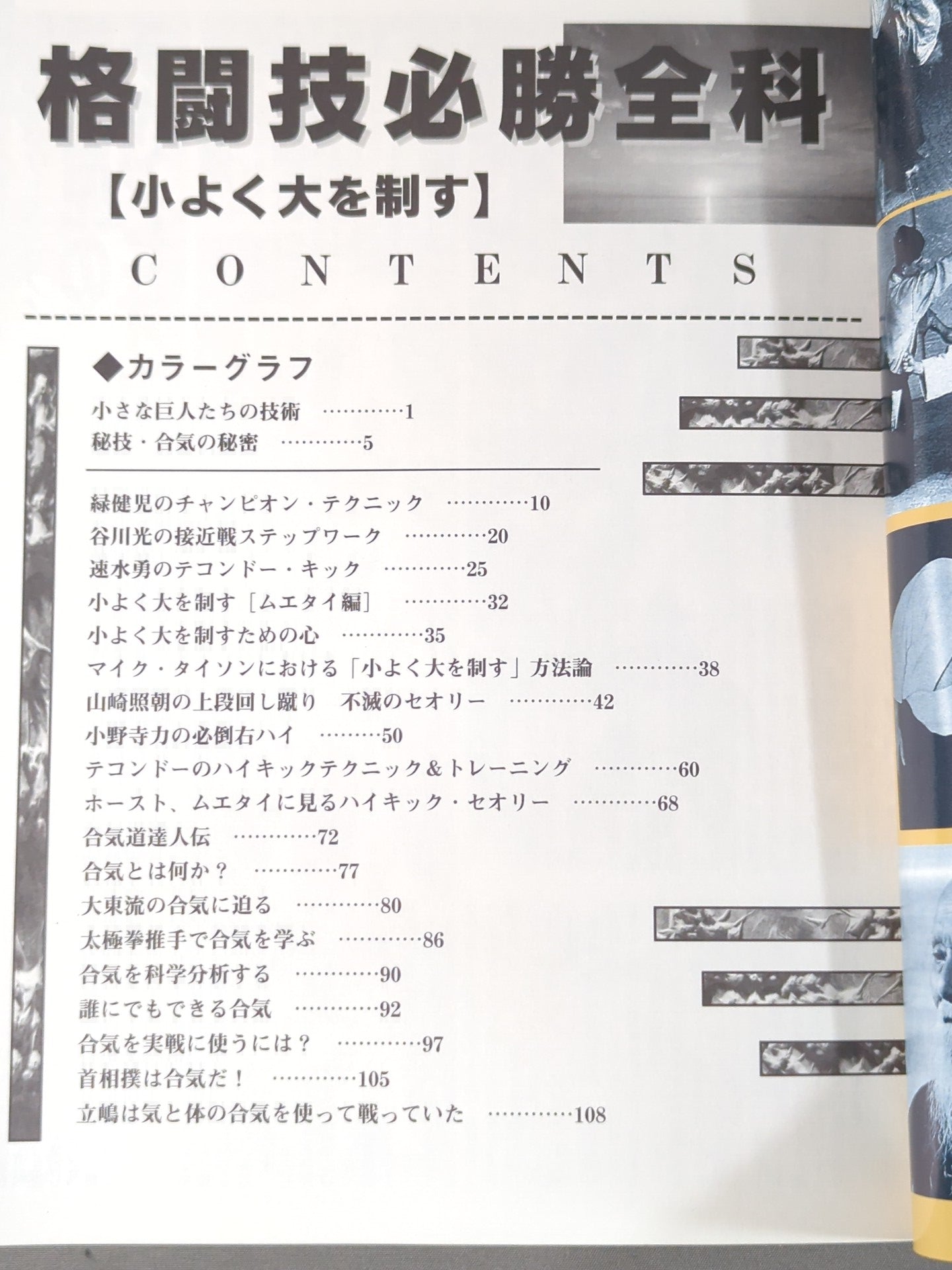 格闘技必勝全科【小よく大を制す】