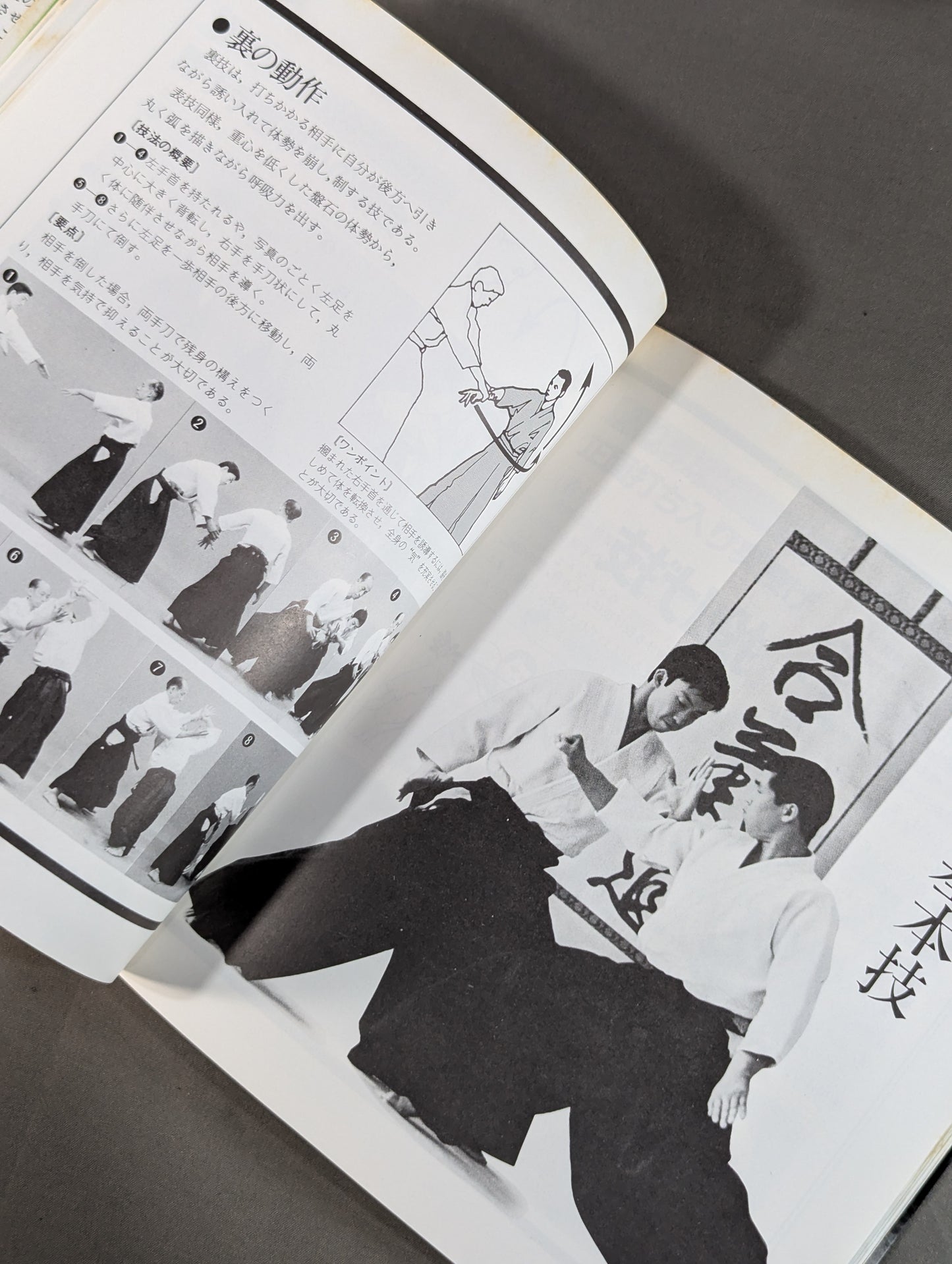 Kodansha Sports Series Aikido Revised New Edition