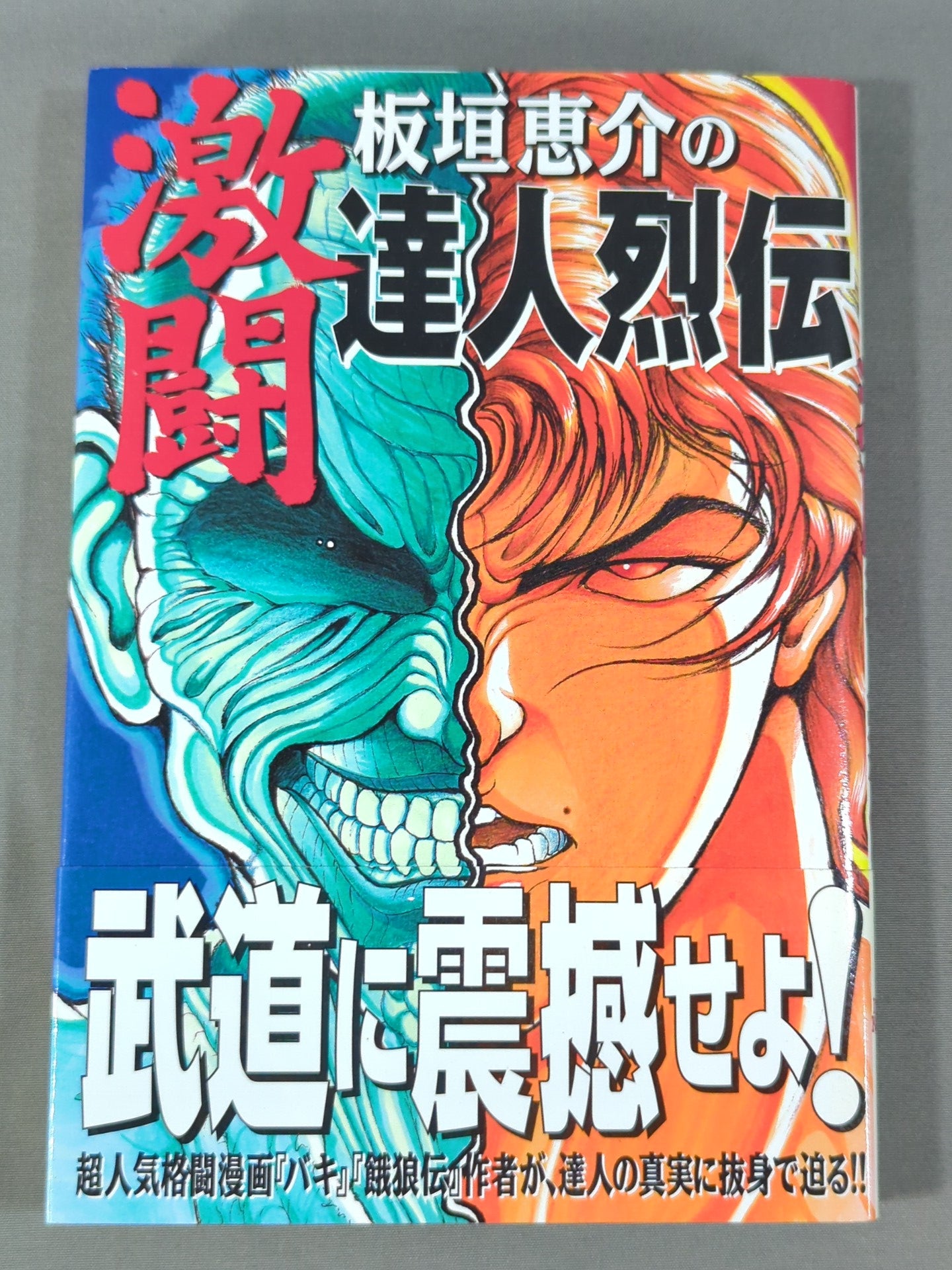 板垣恵介の激闘達人烈伝