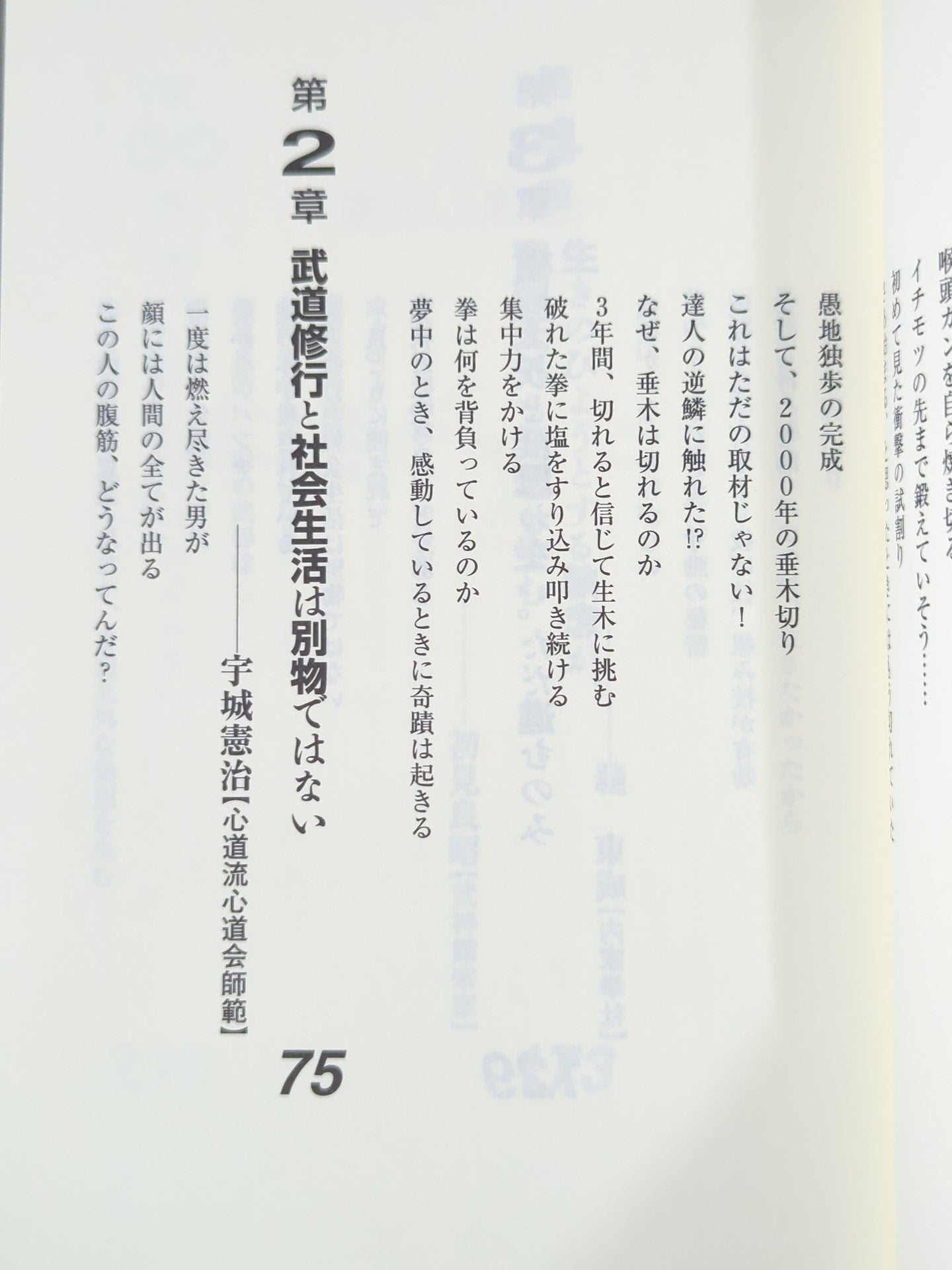 板垣恵介の激闘達人烈伝