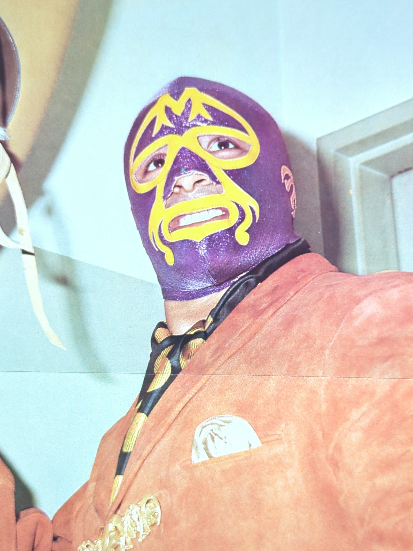 Mil Mascaras Magazine Appendix Pin-Ups(4)