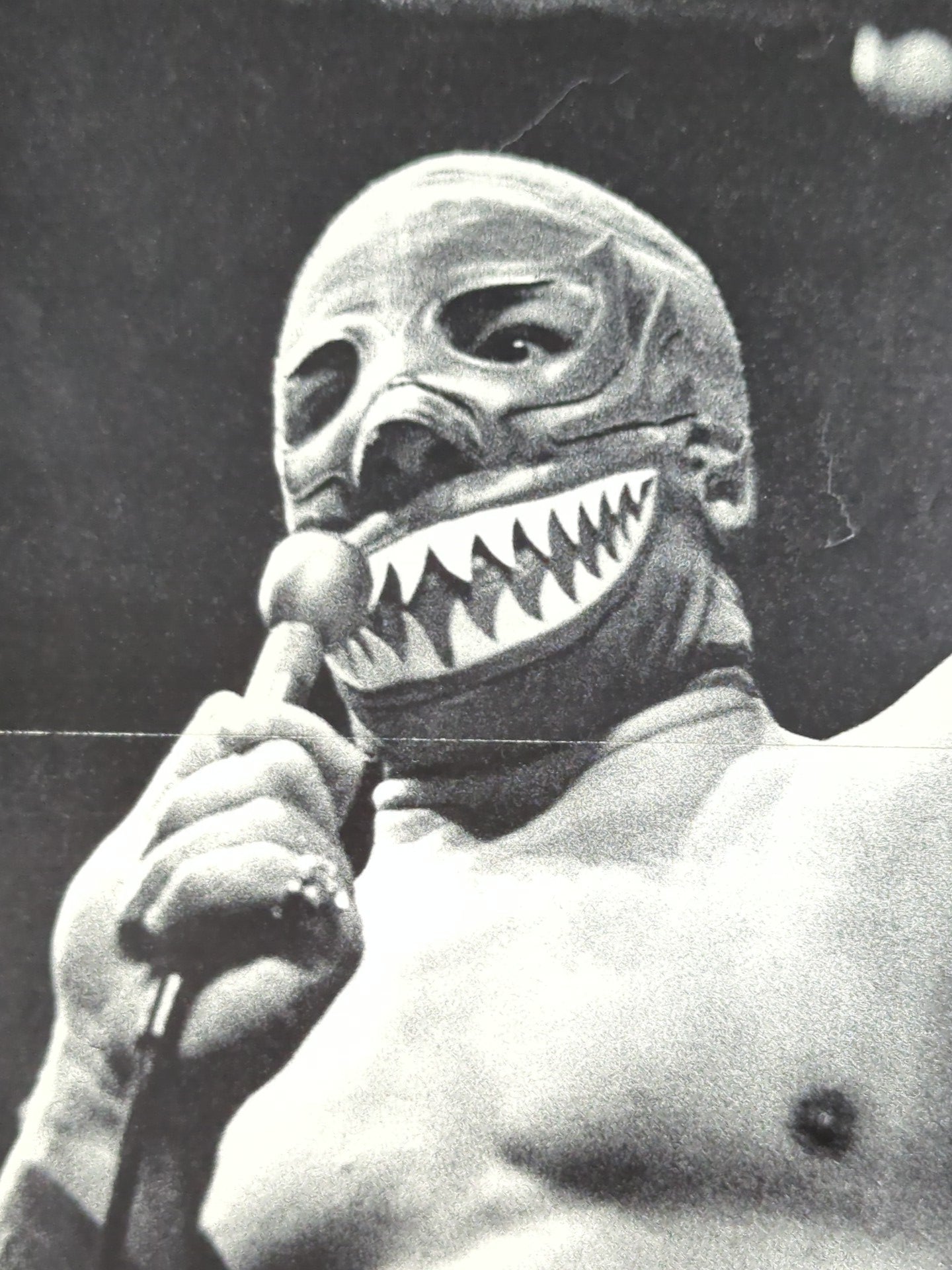Mil Mascaras Magazine Appendix Pin-Ups(8)