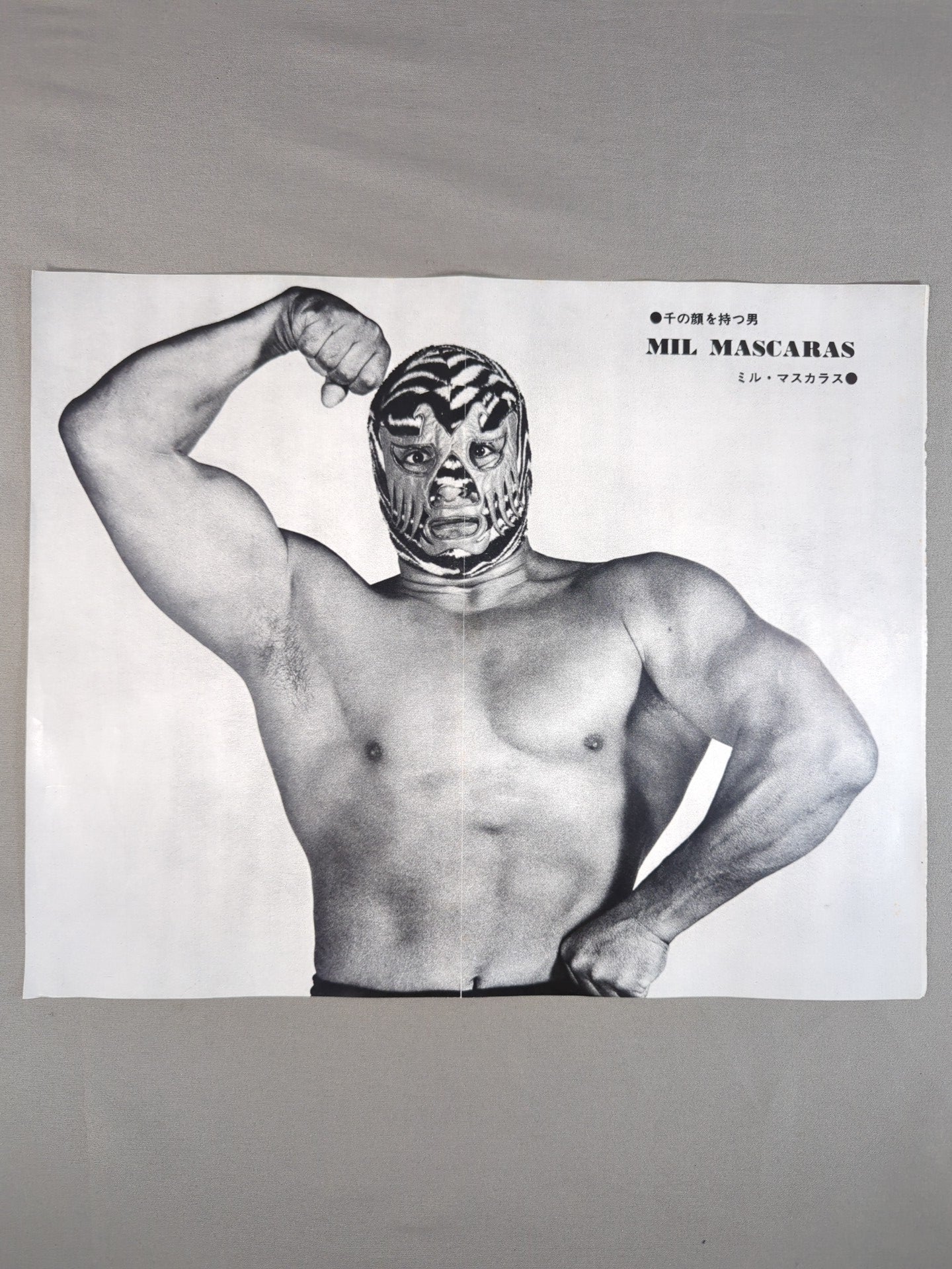 Mil Mascaras Magazine Appendix Pin-Ups(10)