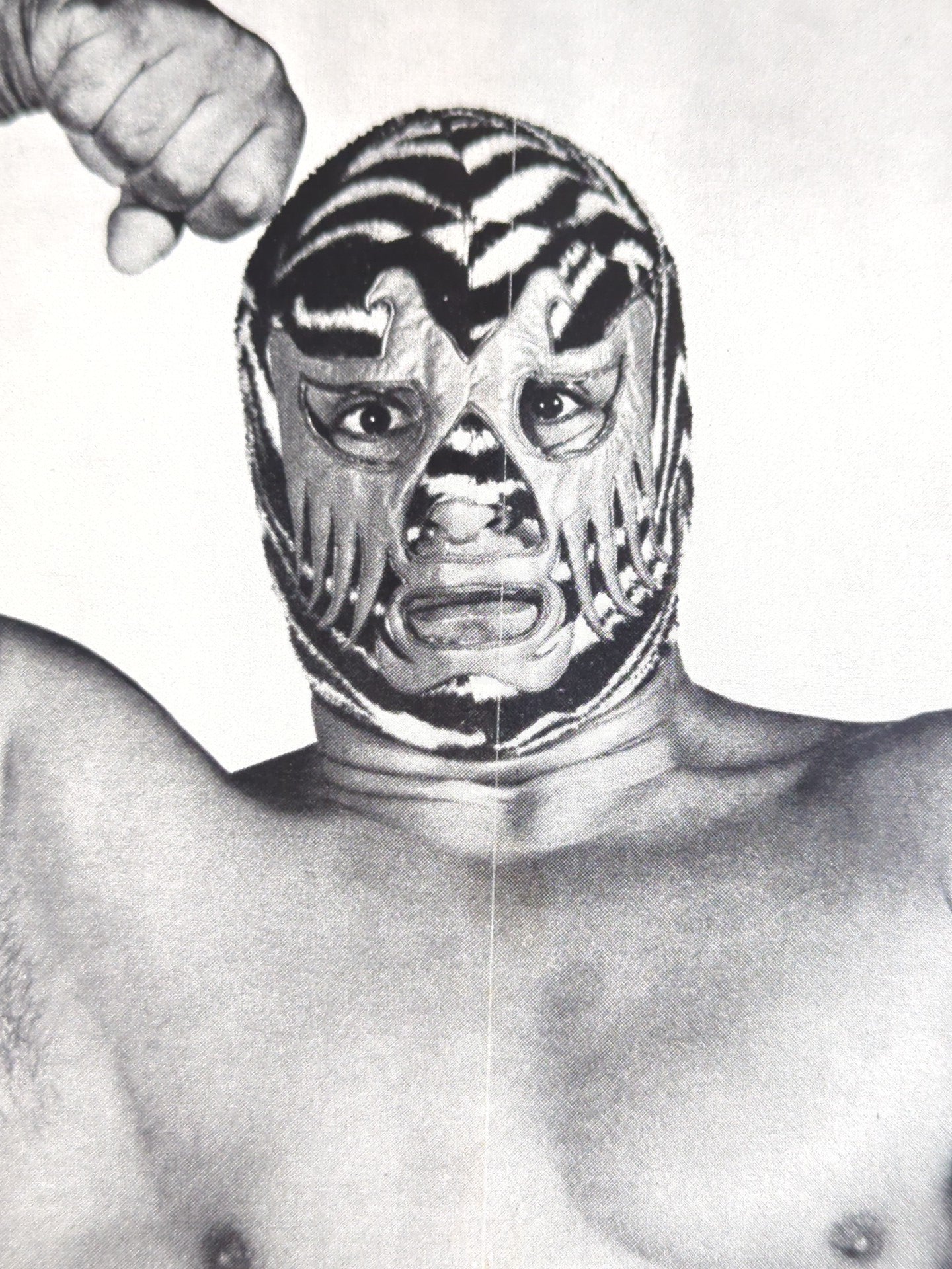Mil Mascaras Magazine Appendix Pin-Ups(10)