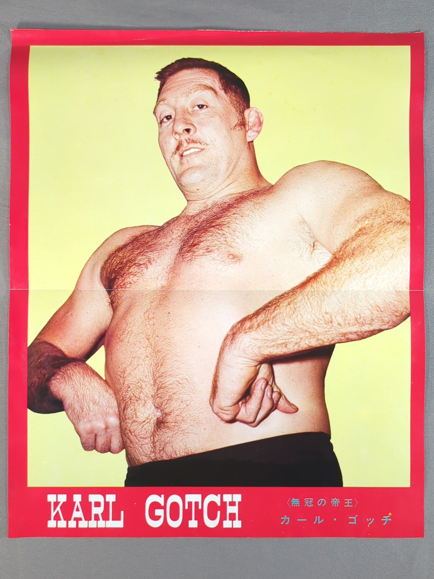Mil Mascaras Undercover Series Pin-Up Part 1
