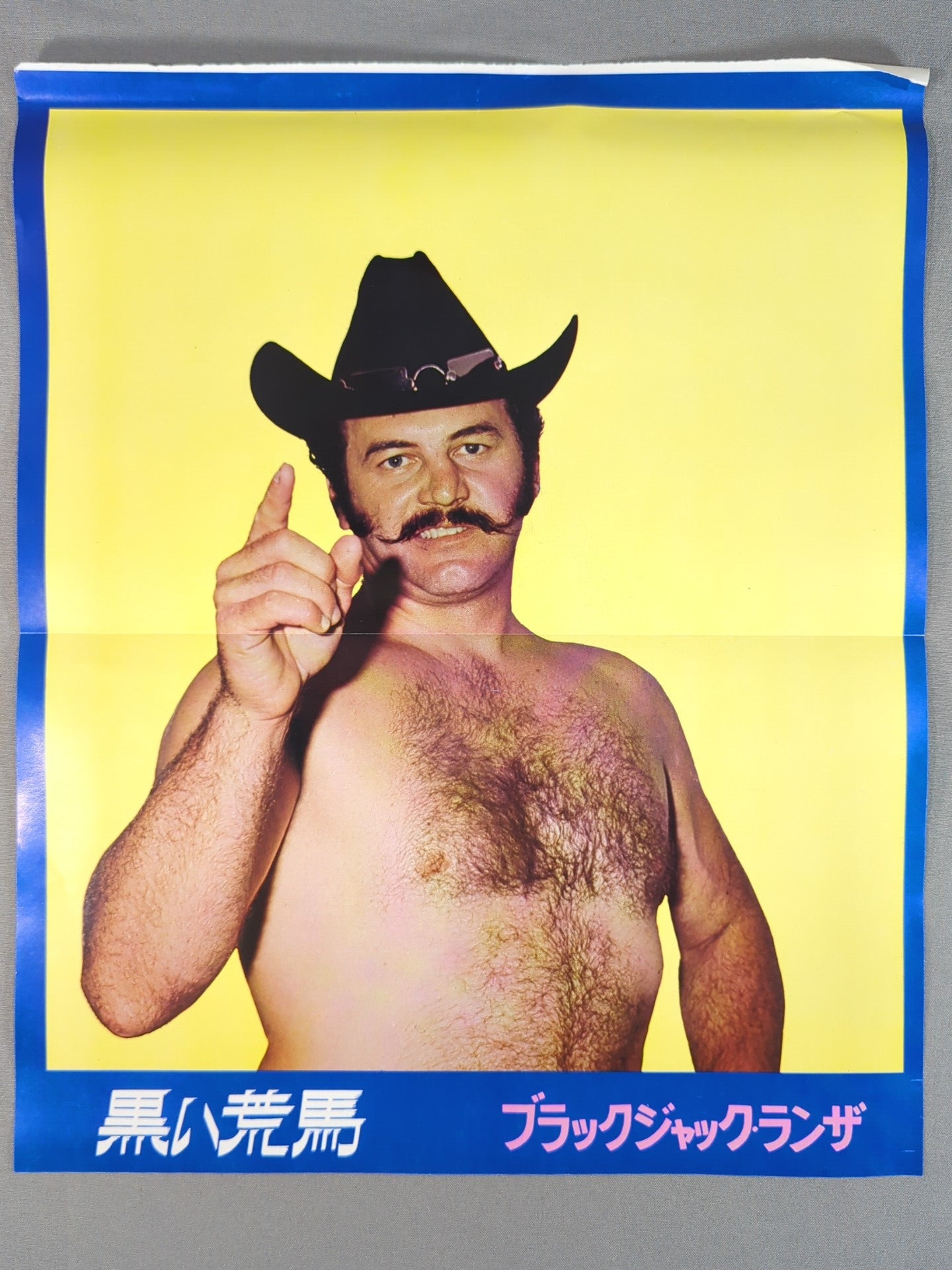 Mil Mascaras Undercover Series Pin-Up Part 3