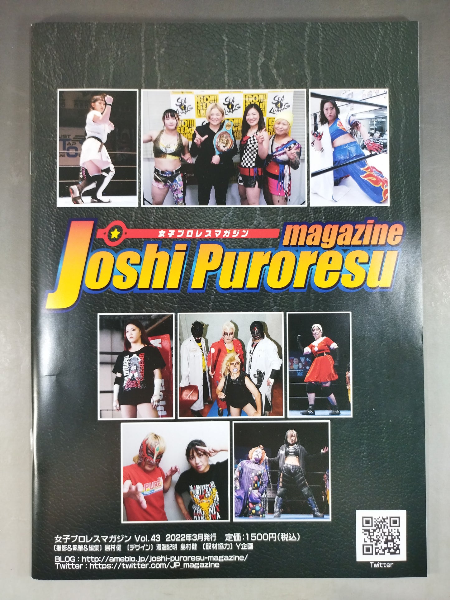 Women's Pro Wrestling Magazine Vol.43
