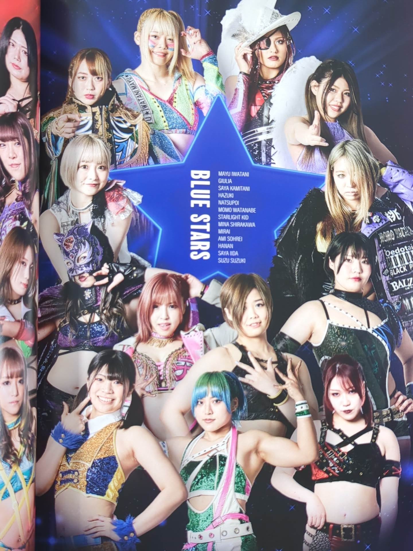 STARDOM OFFICIAL GUIDE BOOK Vol.143