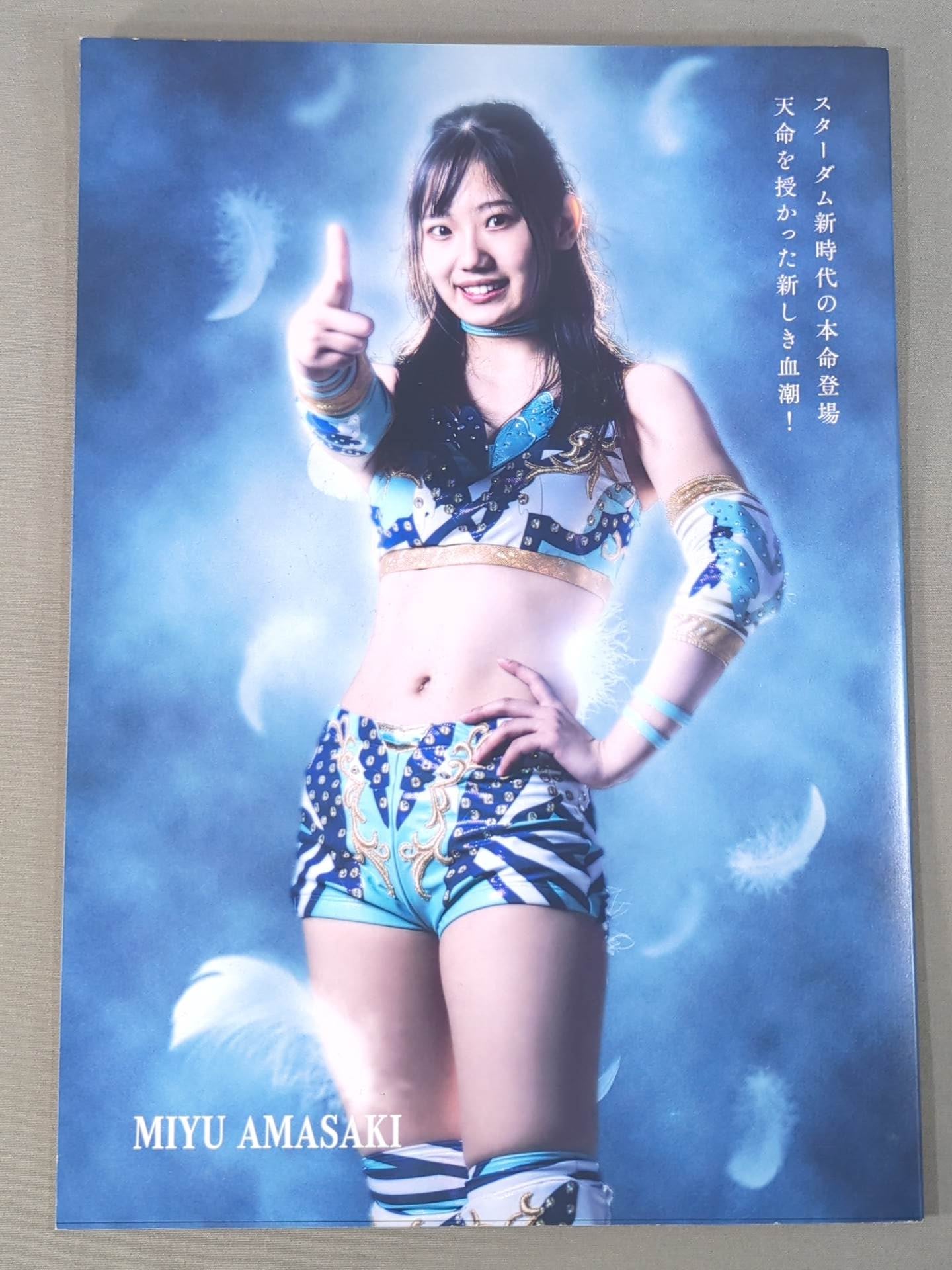 STARDOM OFFICIAL GUIDE BOOK Vol.141
