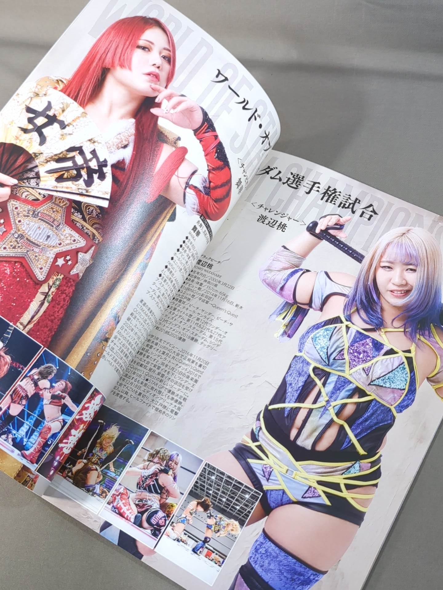 STARDOM OFFICIAL GUIDE BOOK Vol.151