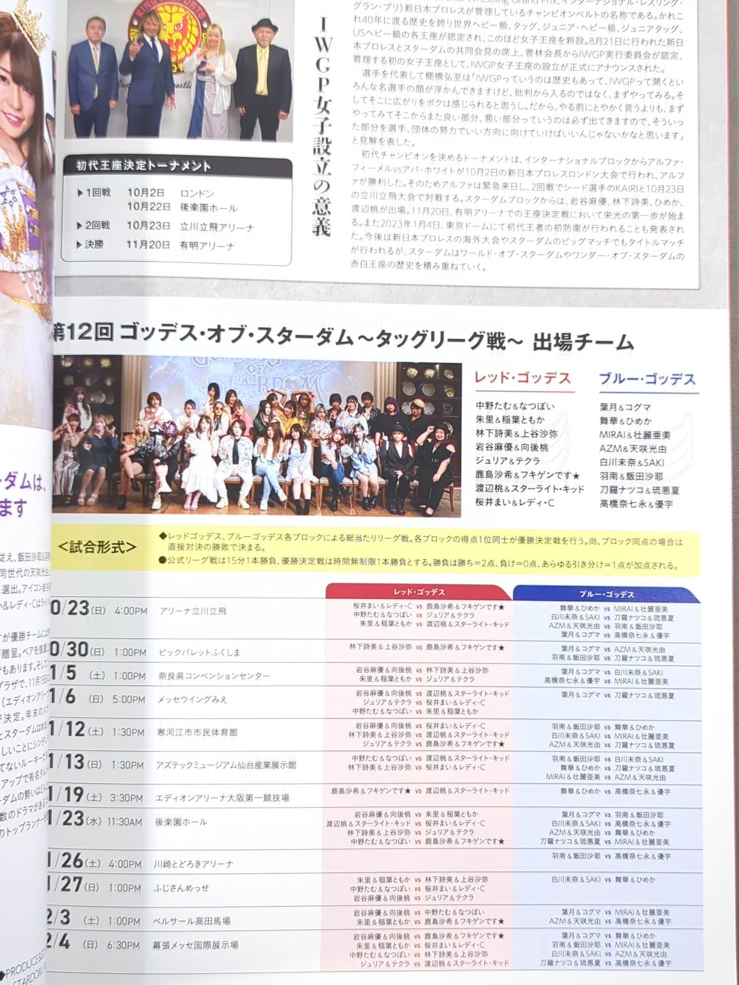 STARDOM OFFICIAL GUIDE BOOK Vol.144