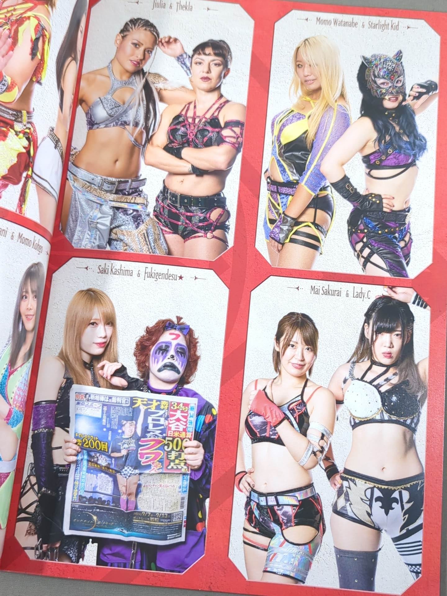 STARDOM OFFICIAL GUIDE BOOK Vol.144