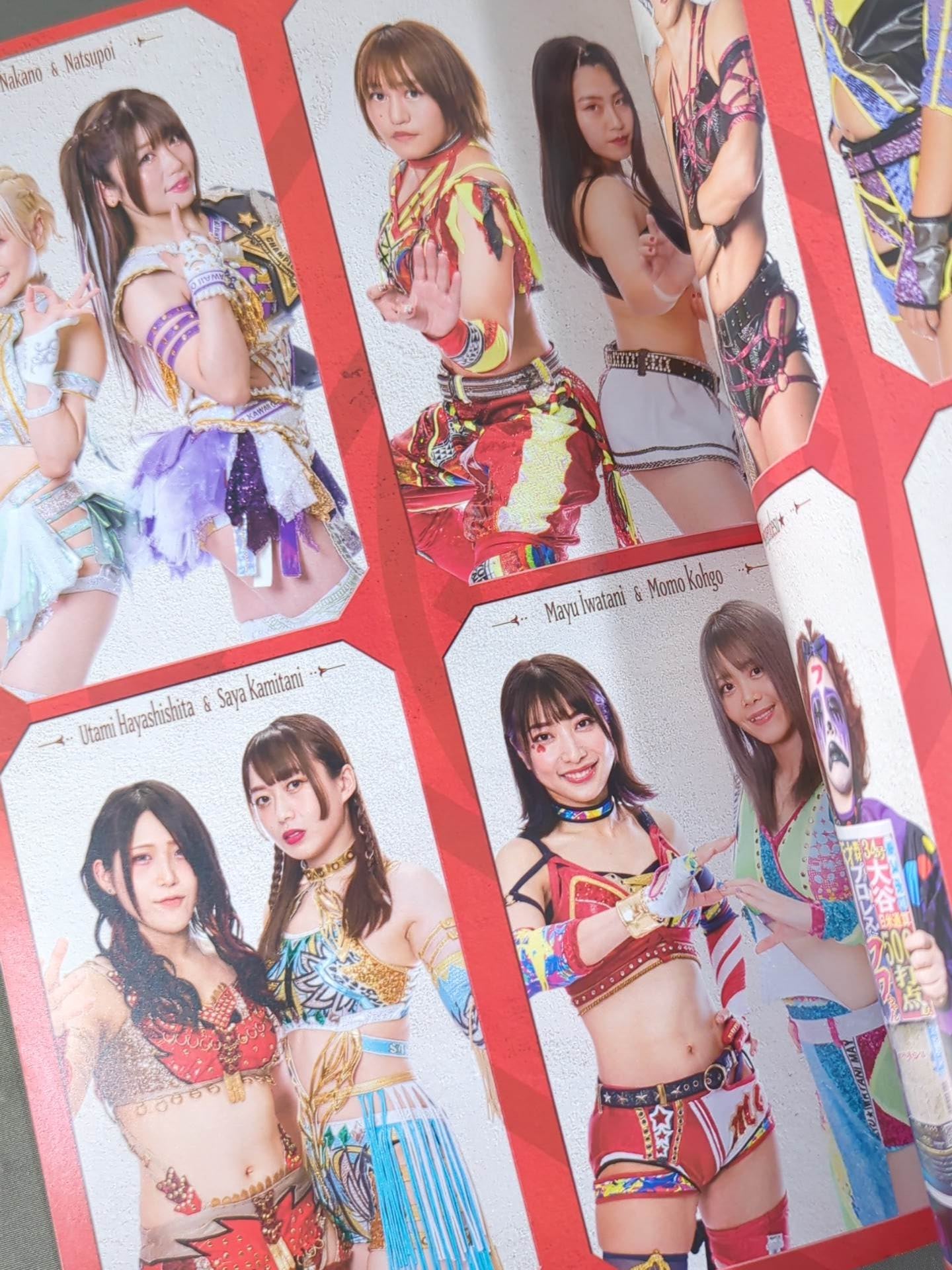 STARDOM OFFICIAL GUIDE BOOK Vol.144