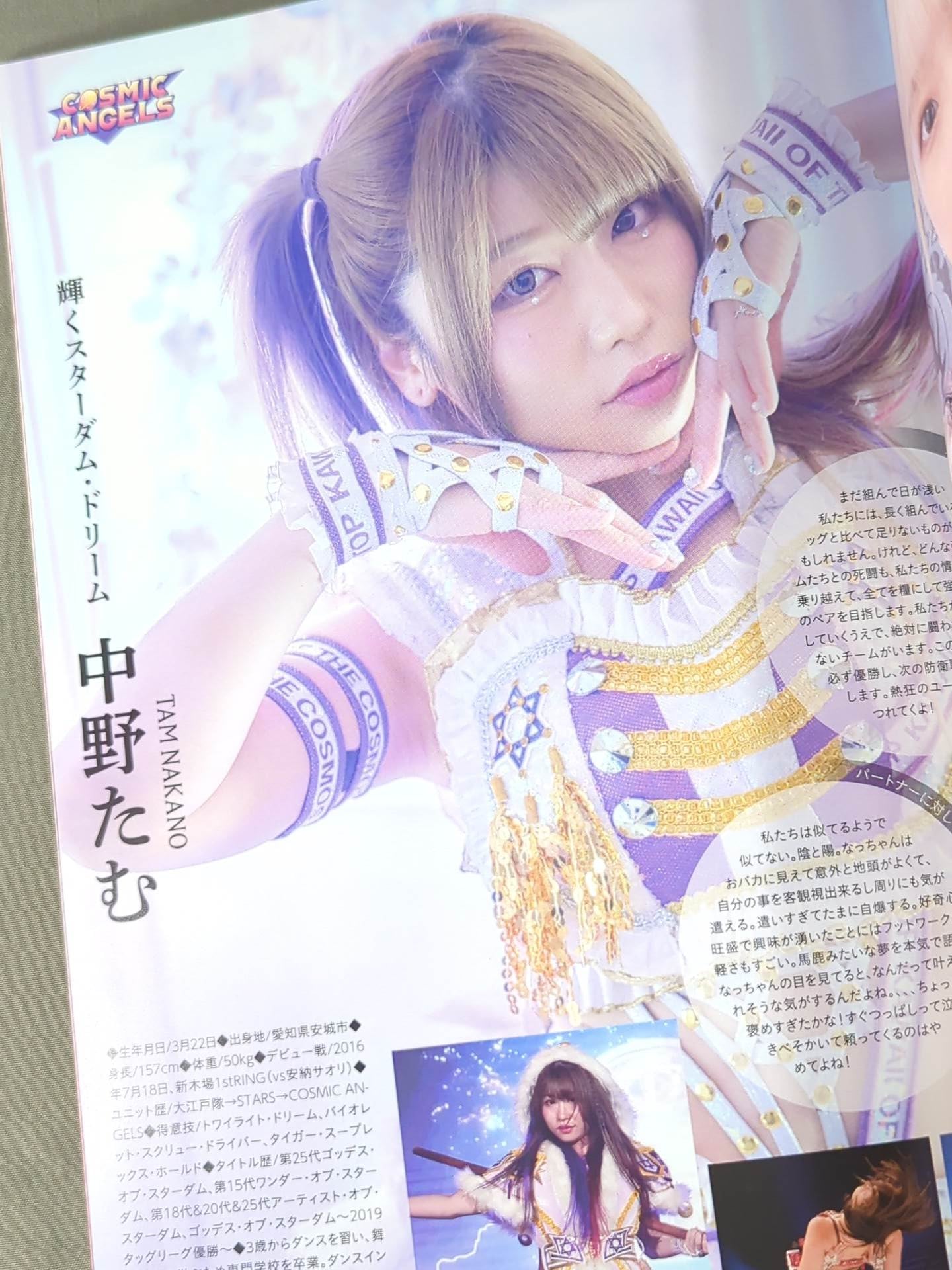 STARDOM OFFICIAL GUIDE BOOK Vol.144