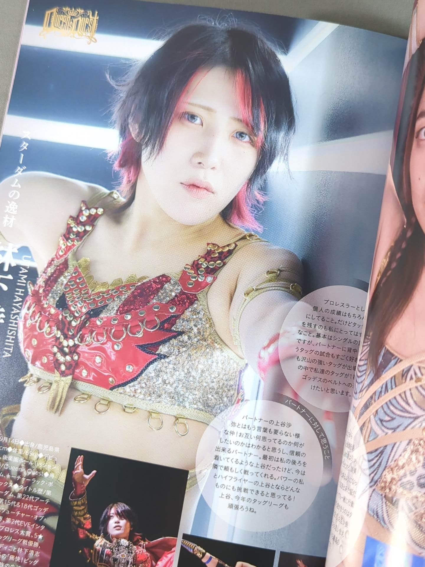 STARDOM OFFICIAL GUIDE BOOK Vol.144