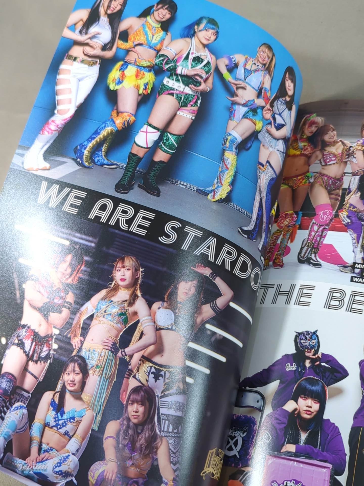 STARDOM OFFICIAL GUIDE BOOK Vol.141
