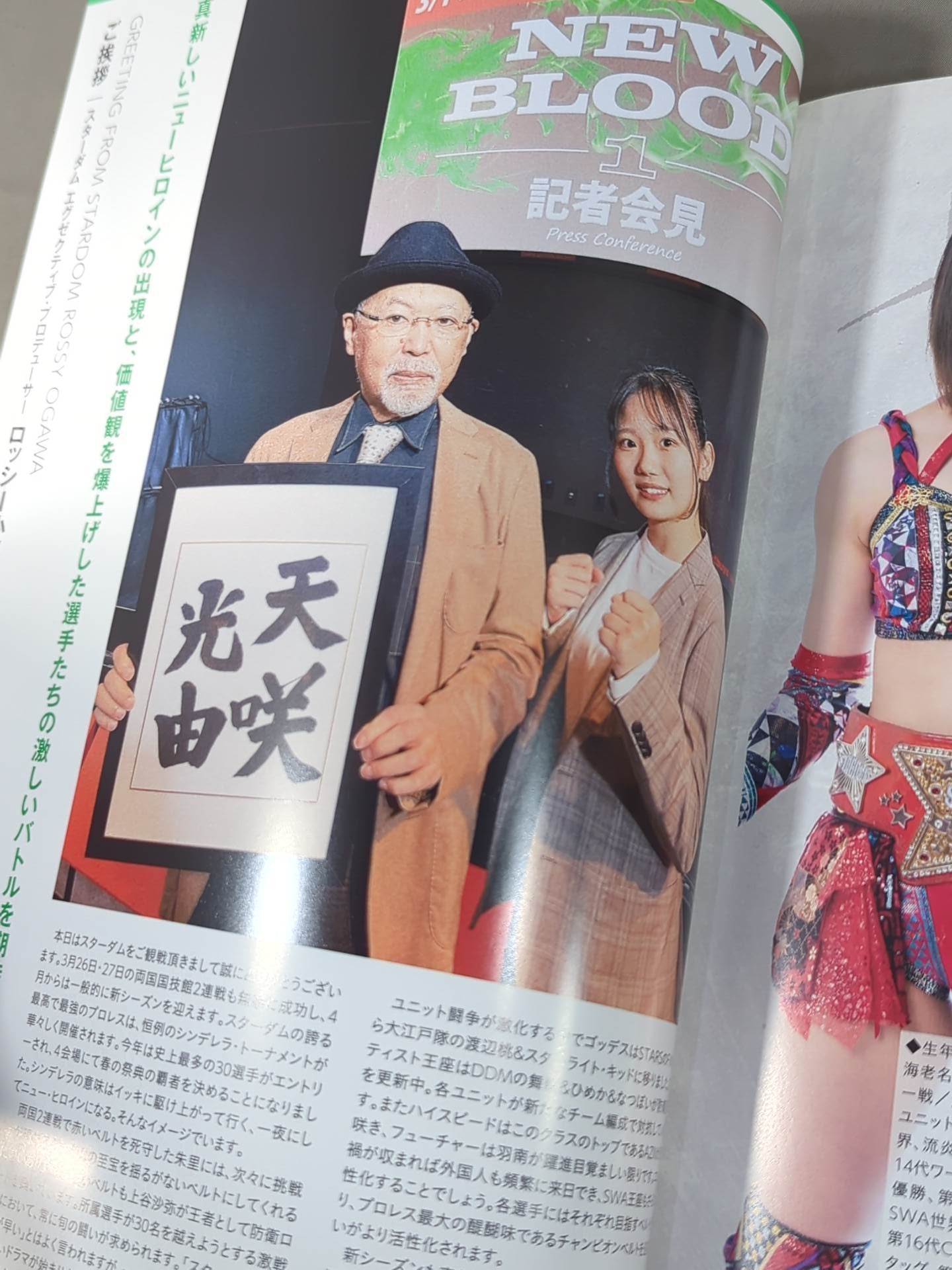 STARDOM OFFICIAL GUIDE BOOK Vol.141