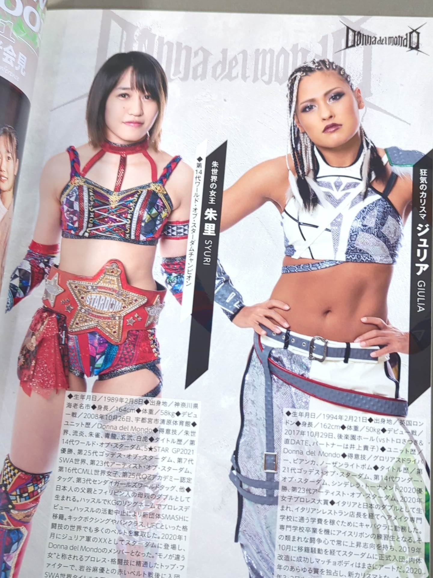 STARDOM OFFICIAL GUIDE BOOK Vol.141
