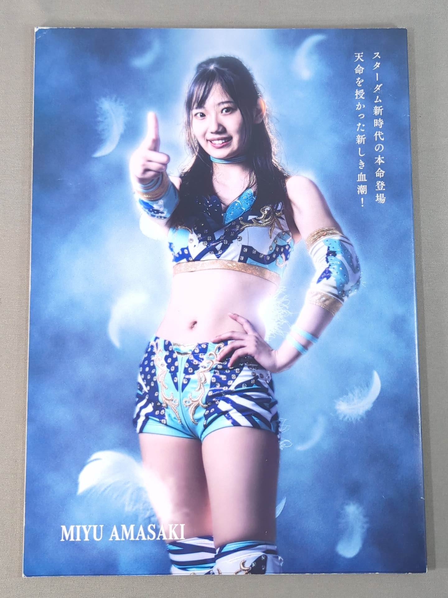 STARDOM OFFICIAL GUIDE BOOK Vol.141