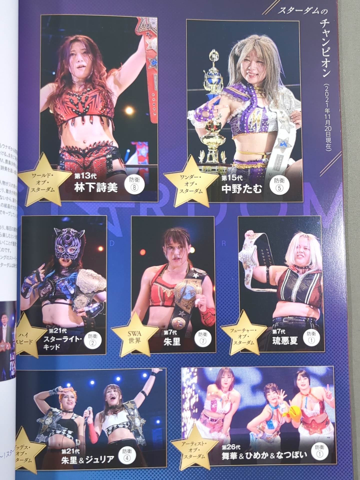 STARDOM OFFICIAL GUIDE BOOK Vol.139