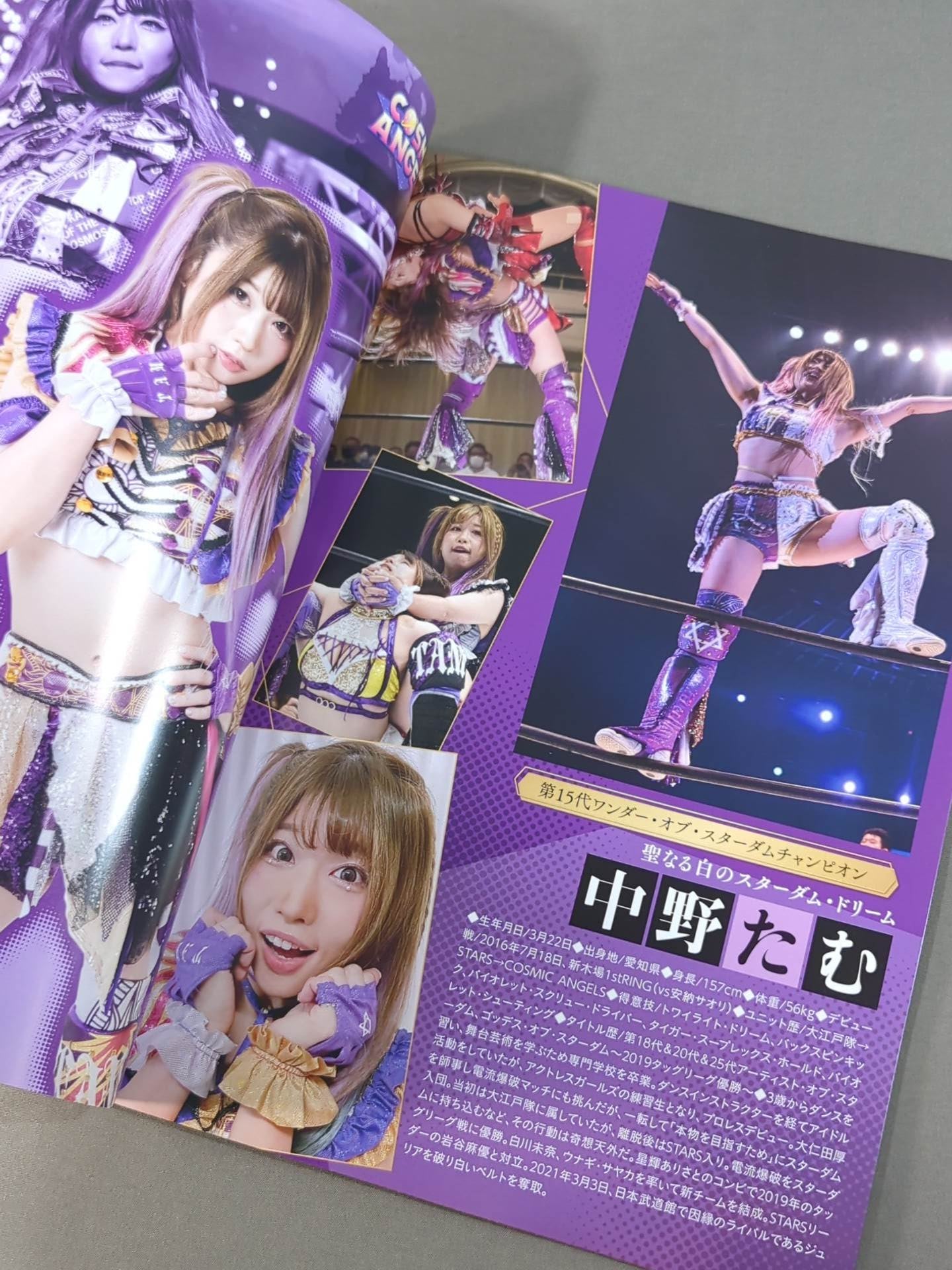 STARDOM OFFICIAL GUIDE BOOK Vol.139