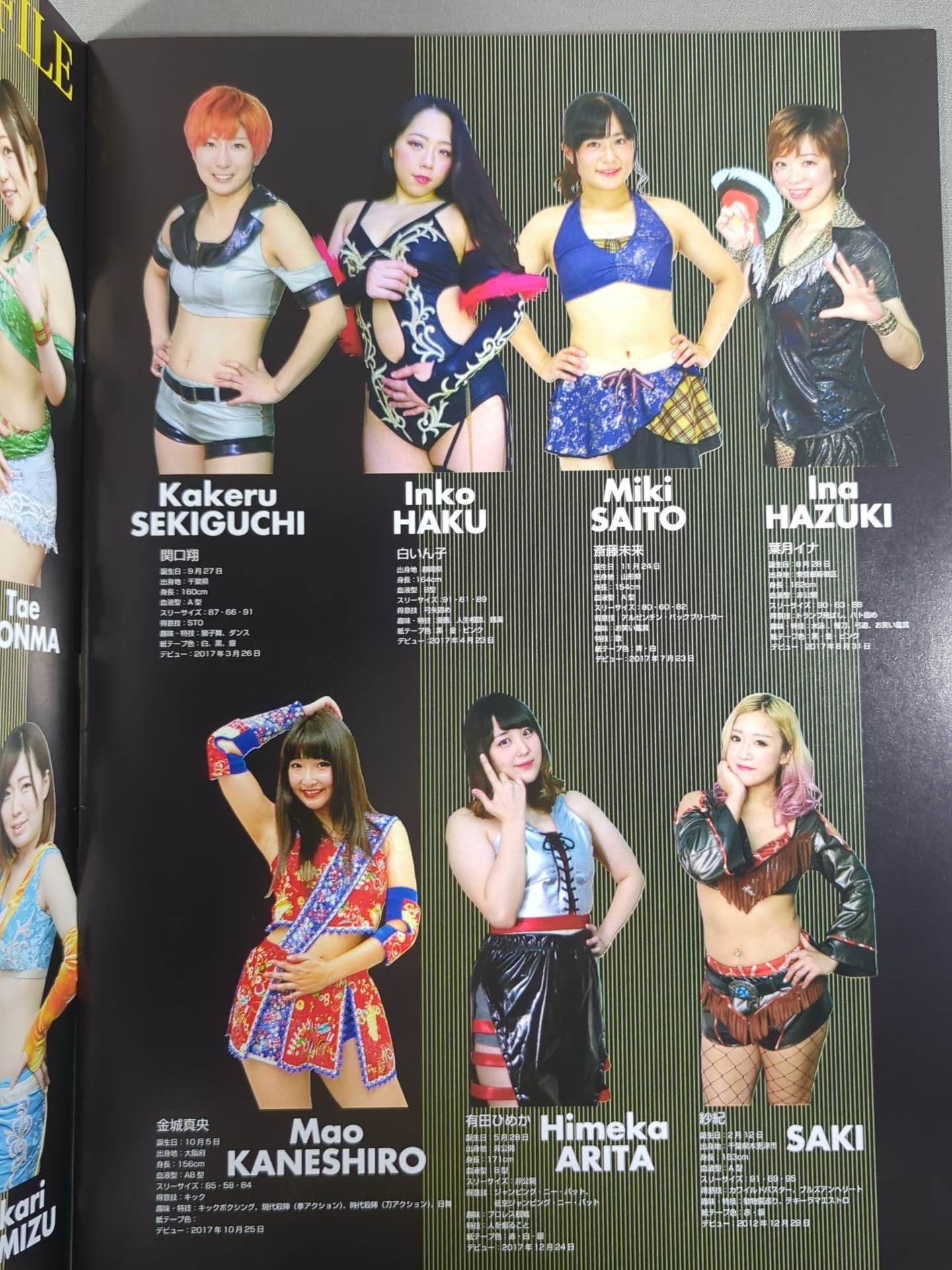 Actwres girl'Z アクトレスガールズ Vol.14