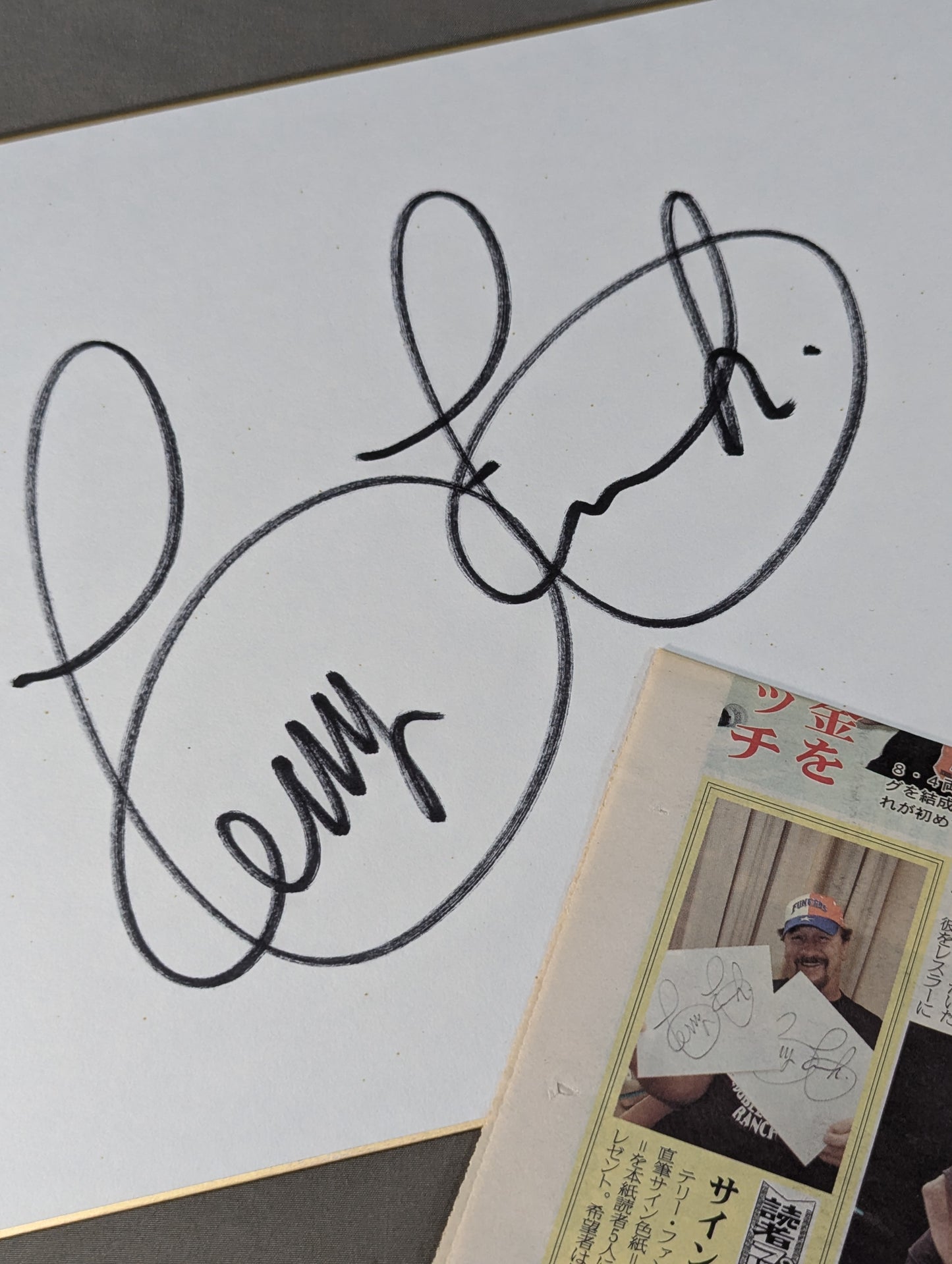 Terry Funk