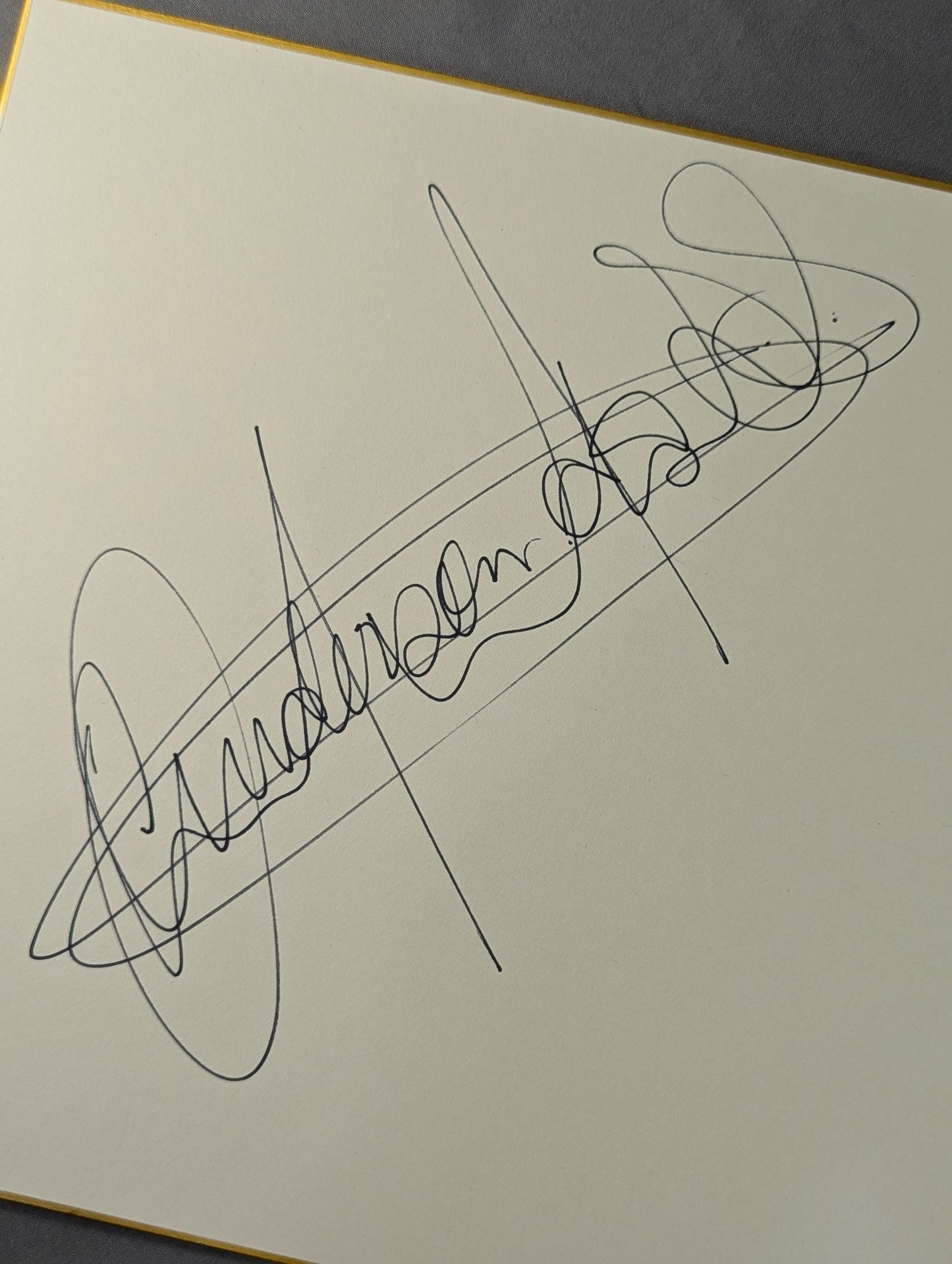 Anderson Silva