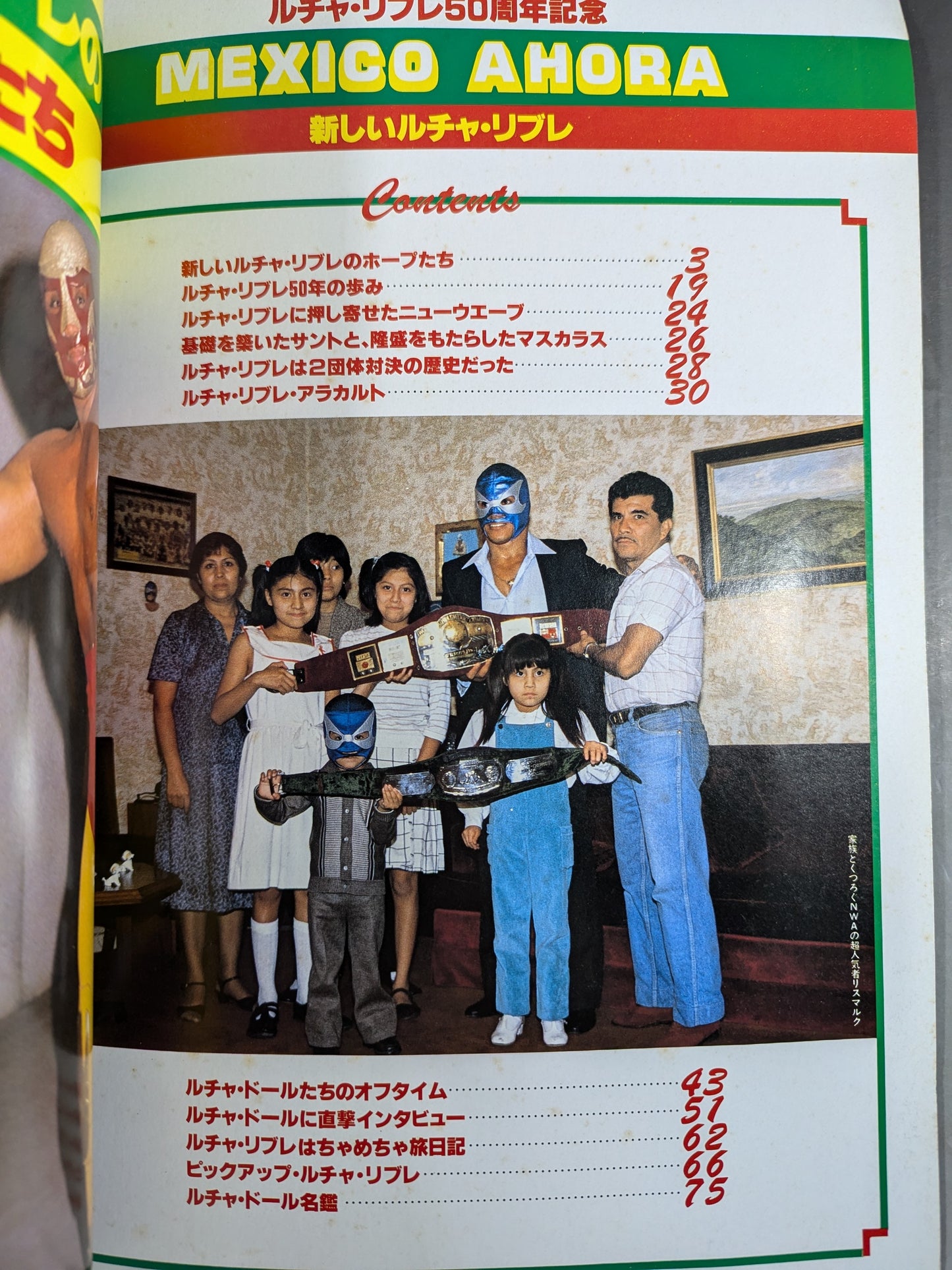 週刊プロレス6【新しいルチャ・リブレ】